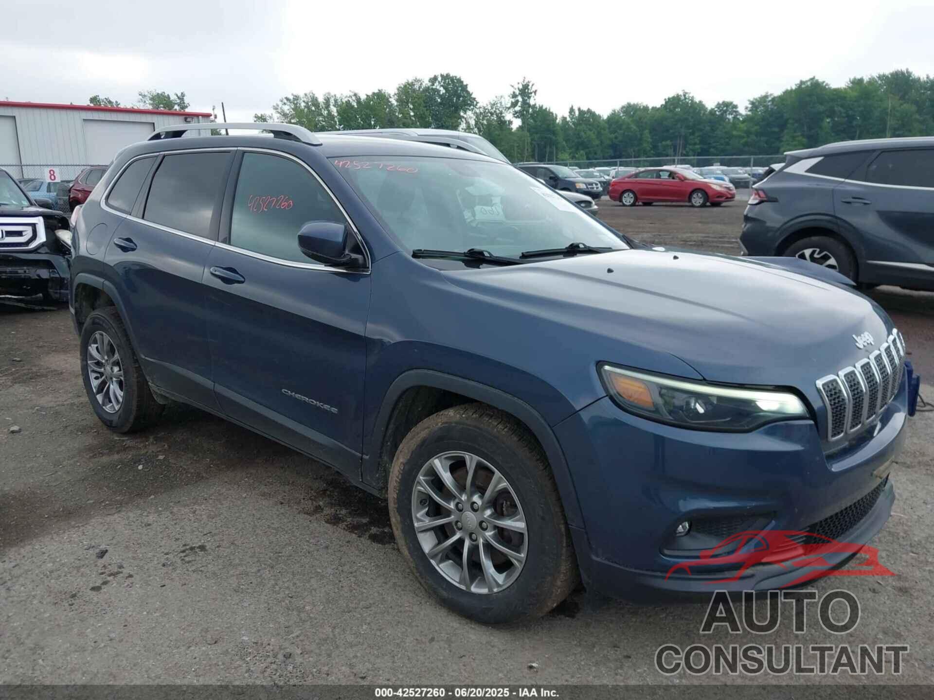 JEEP CHEROKEE 2019 - 1C4PJMLB1KD465110