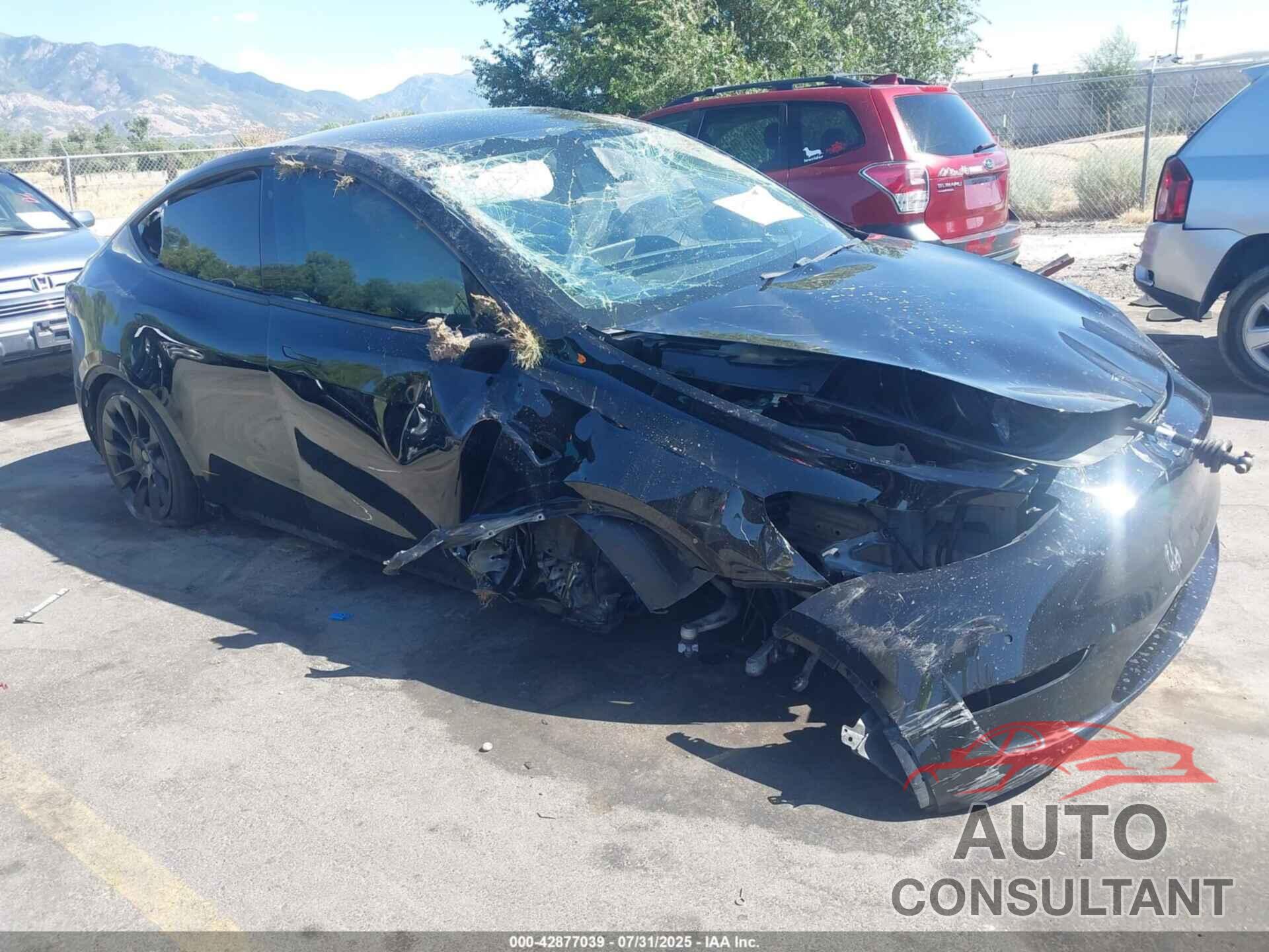 TESLA MODEL Y 2020 - 5YJYGDEE2LF049958