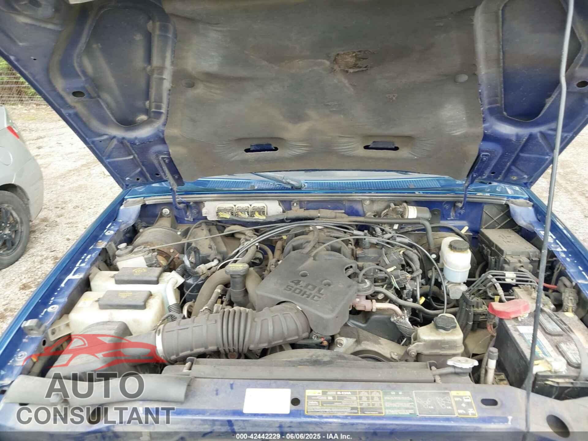 FORD RANGER 2010 - 1FTLR4FE9APA70862