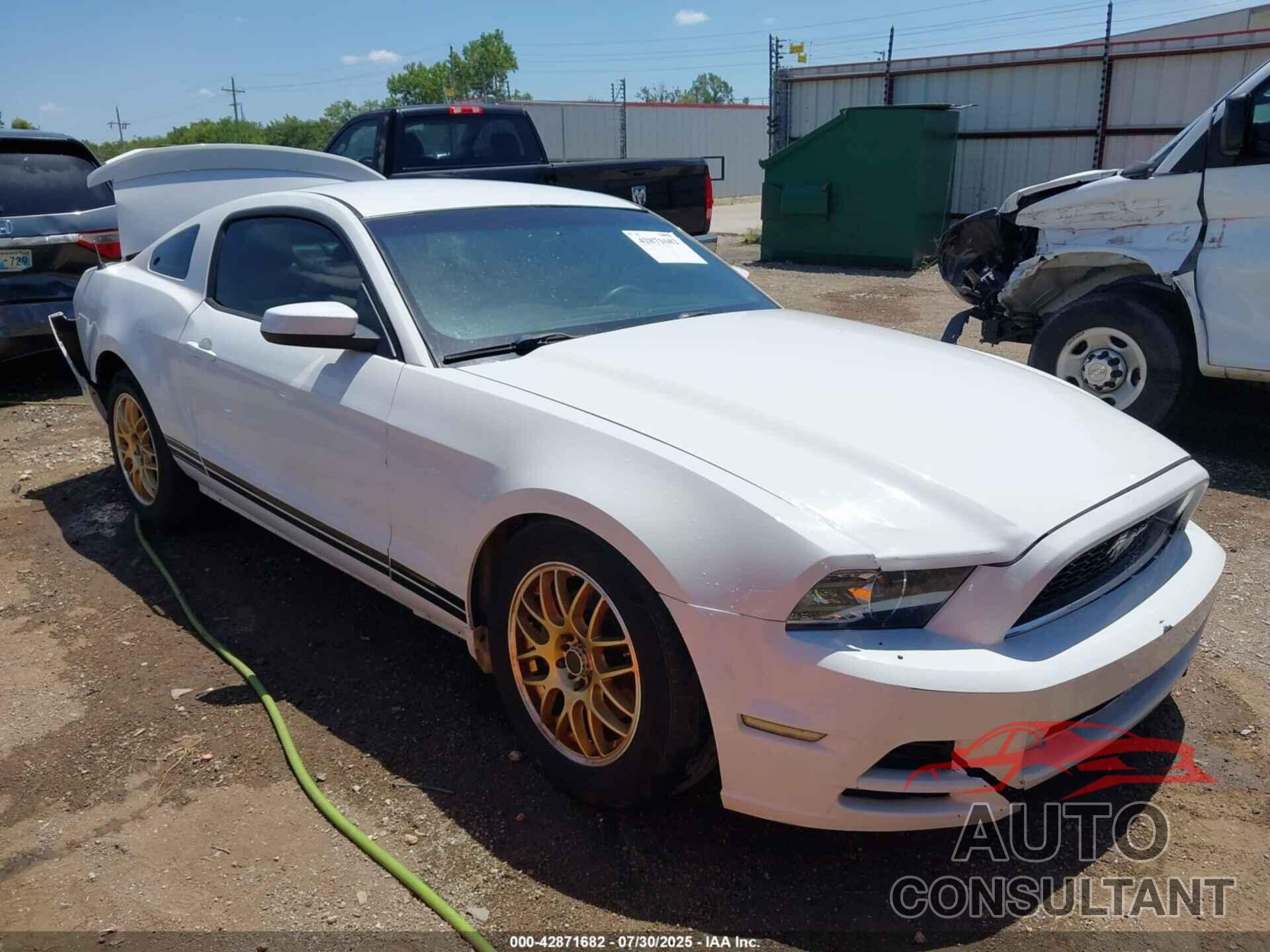 FORD MUSTANG 2014 - 1ZVBP8AM7E5236558