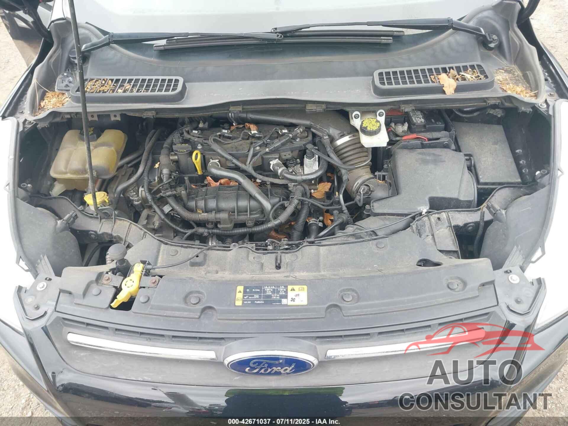 FORD ESCAPE 2016 - 1FMCU9GXXGUC03372