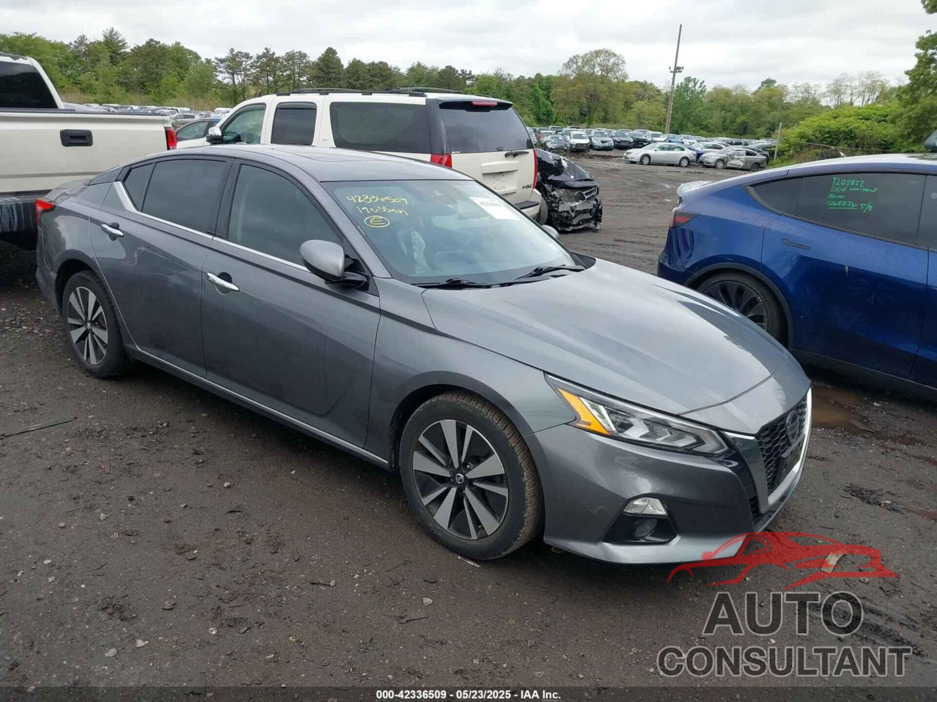 NISSAN ALTIMA 2019 - 1N4BL4EV0KC229457