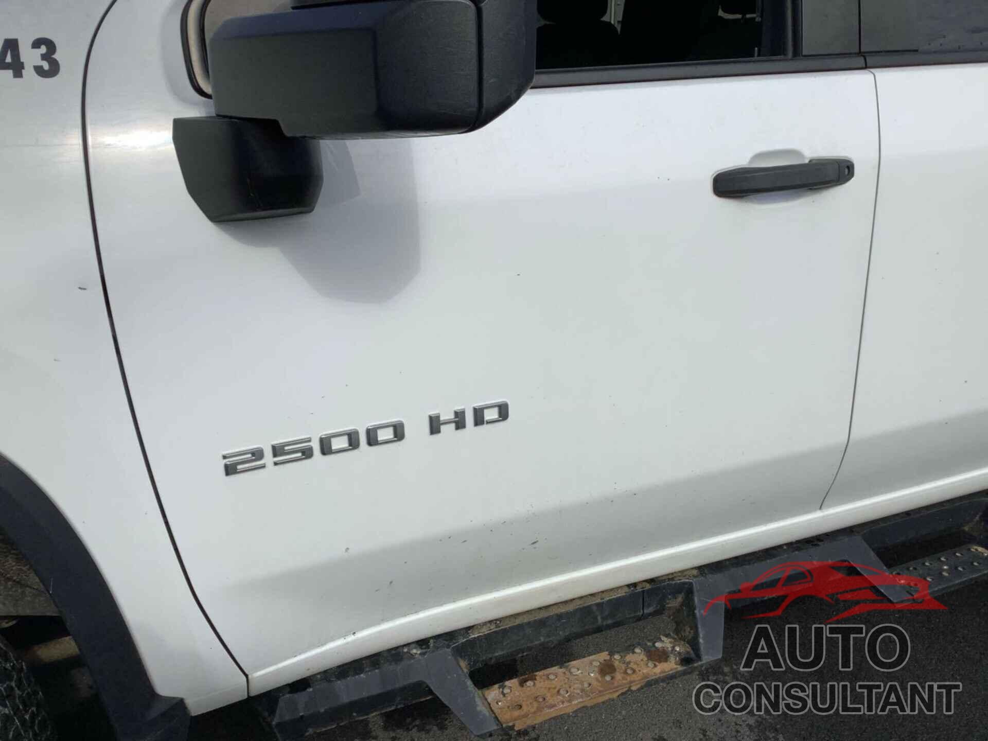CHEVROLET SILVERADO 2020 - 1GC5YLE71LF189054