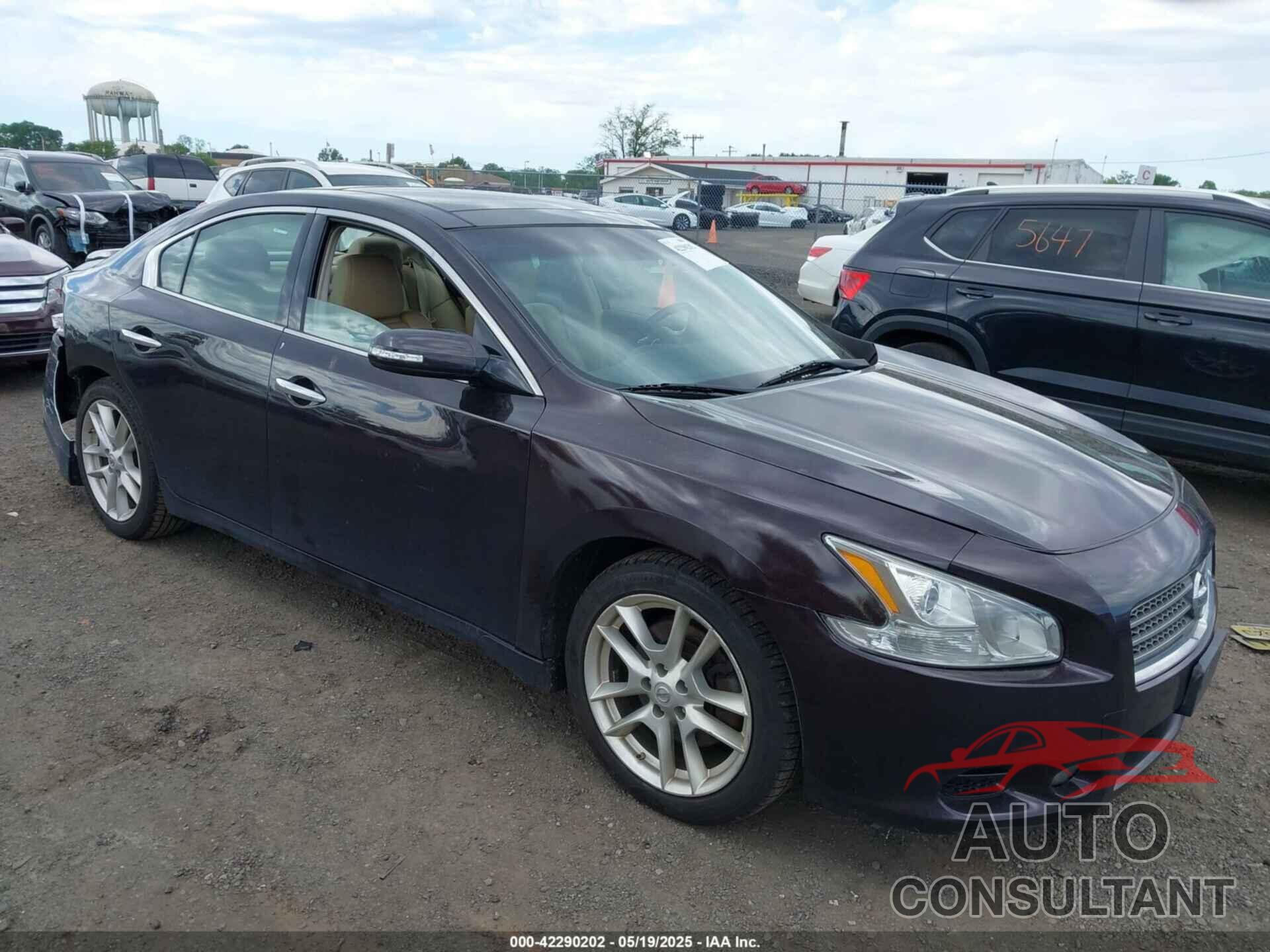 NISSAN MAXIMA 2011 - 1N4AA5AP9BC841459