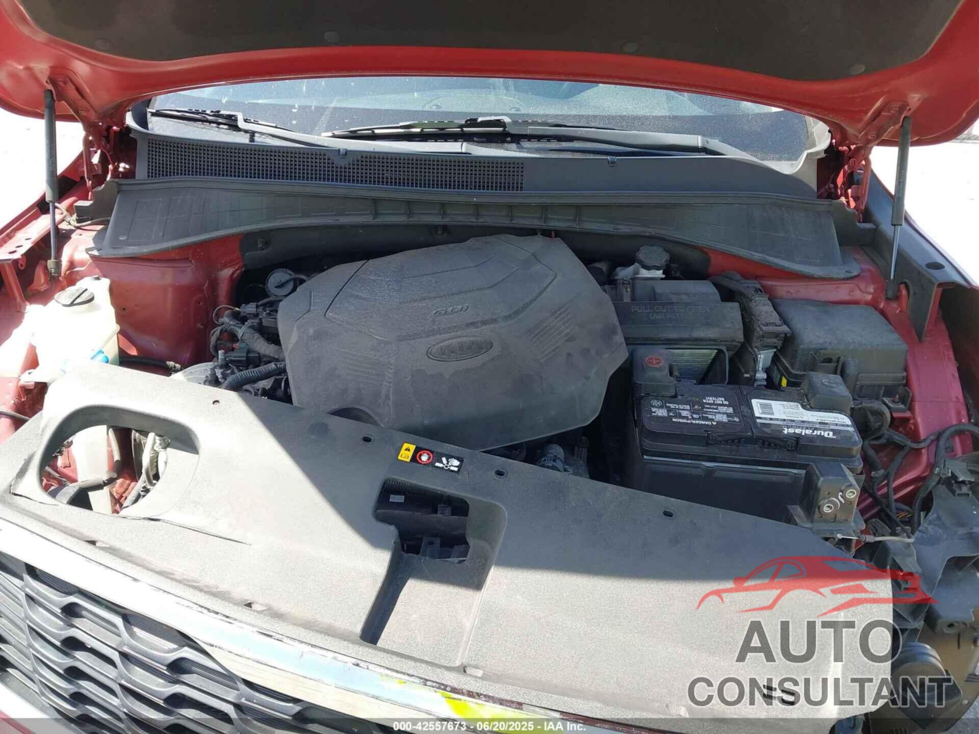 KIA SORENTO 2019 - 5XYPG4A54KG600304