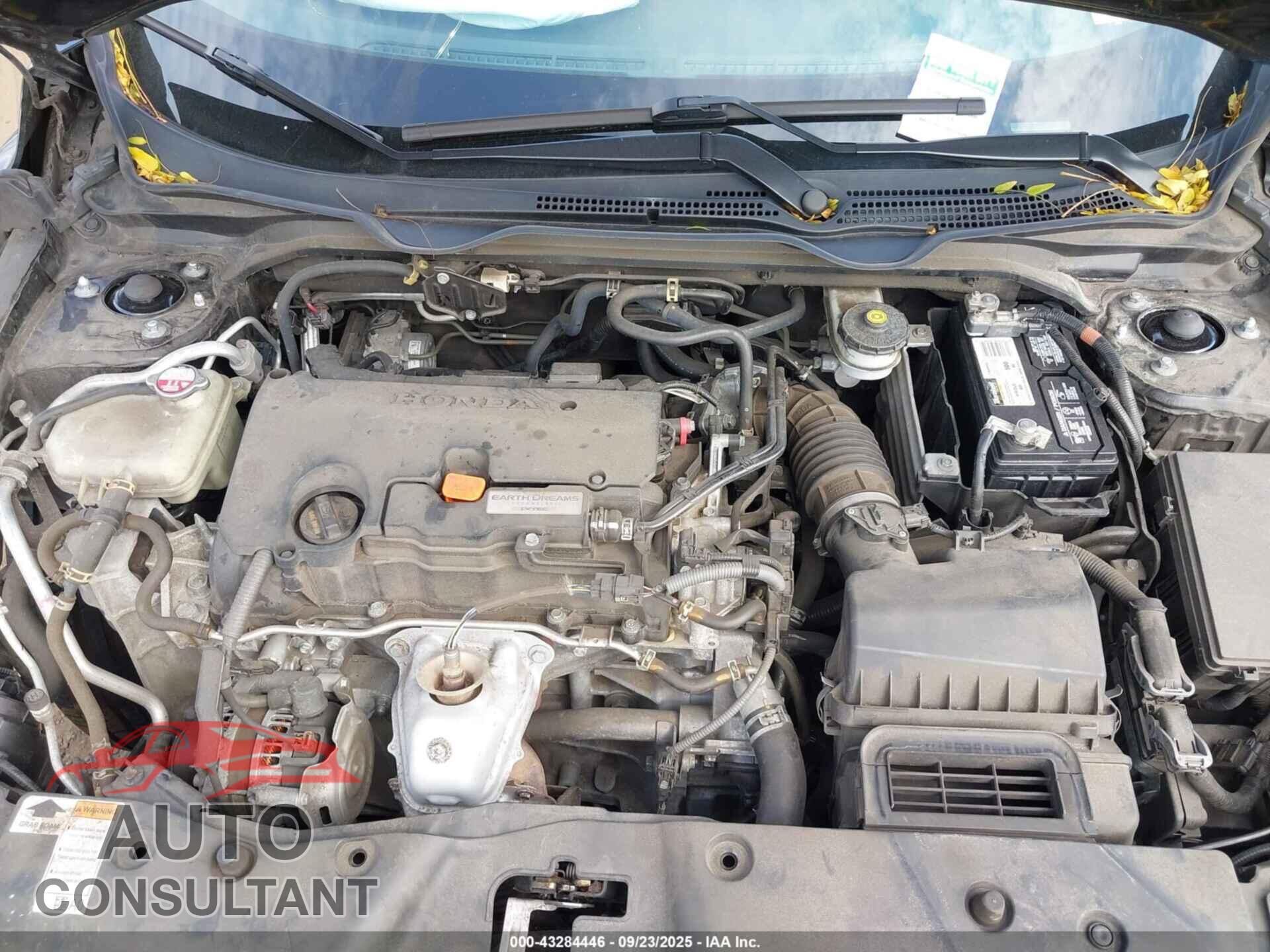 HONDA CIVIC 2019 - 2HGFC2F60KH588765