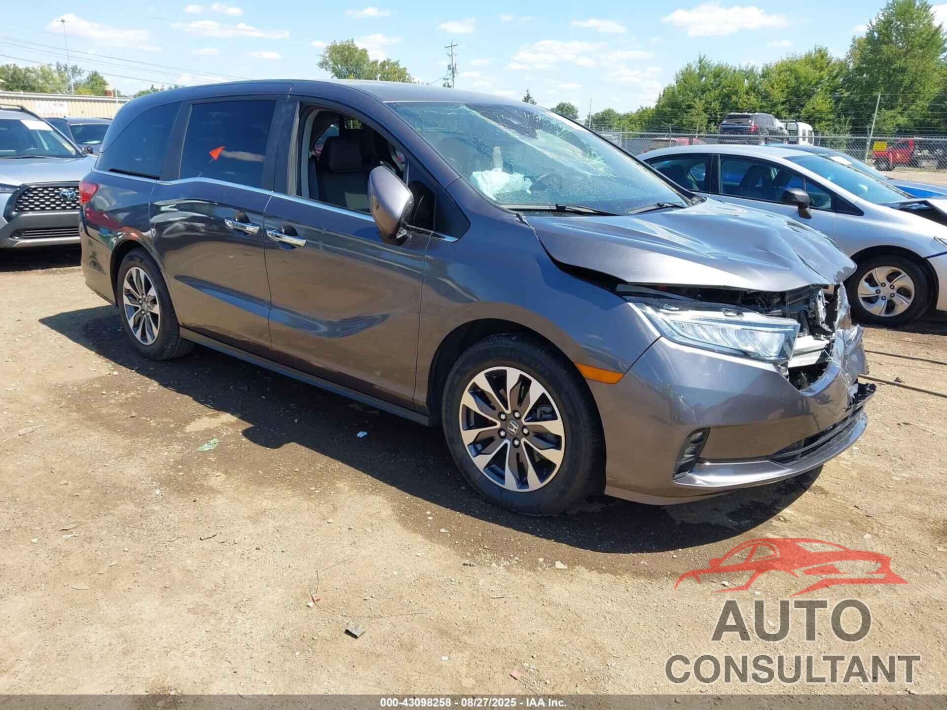 HONDA ODYSSEY 2022 - 5FNRL6H79NB024258