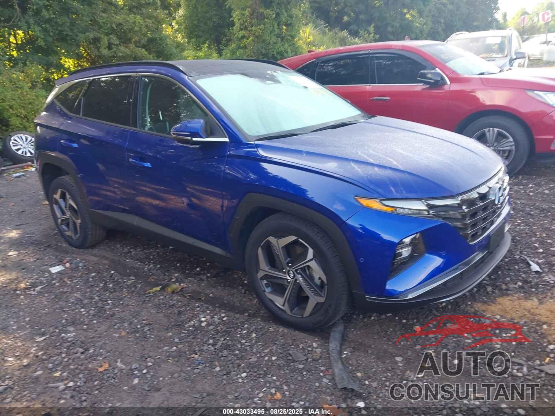 HYUNDAI TUCSON 2024 - 5NMJECDE1RH328215