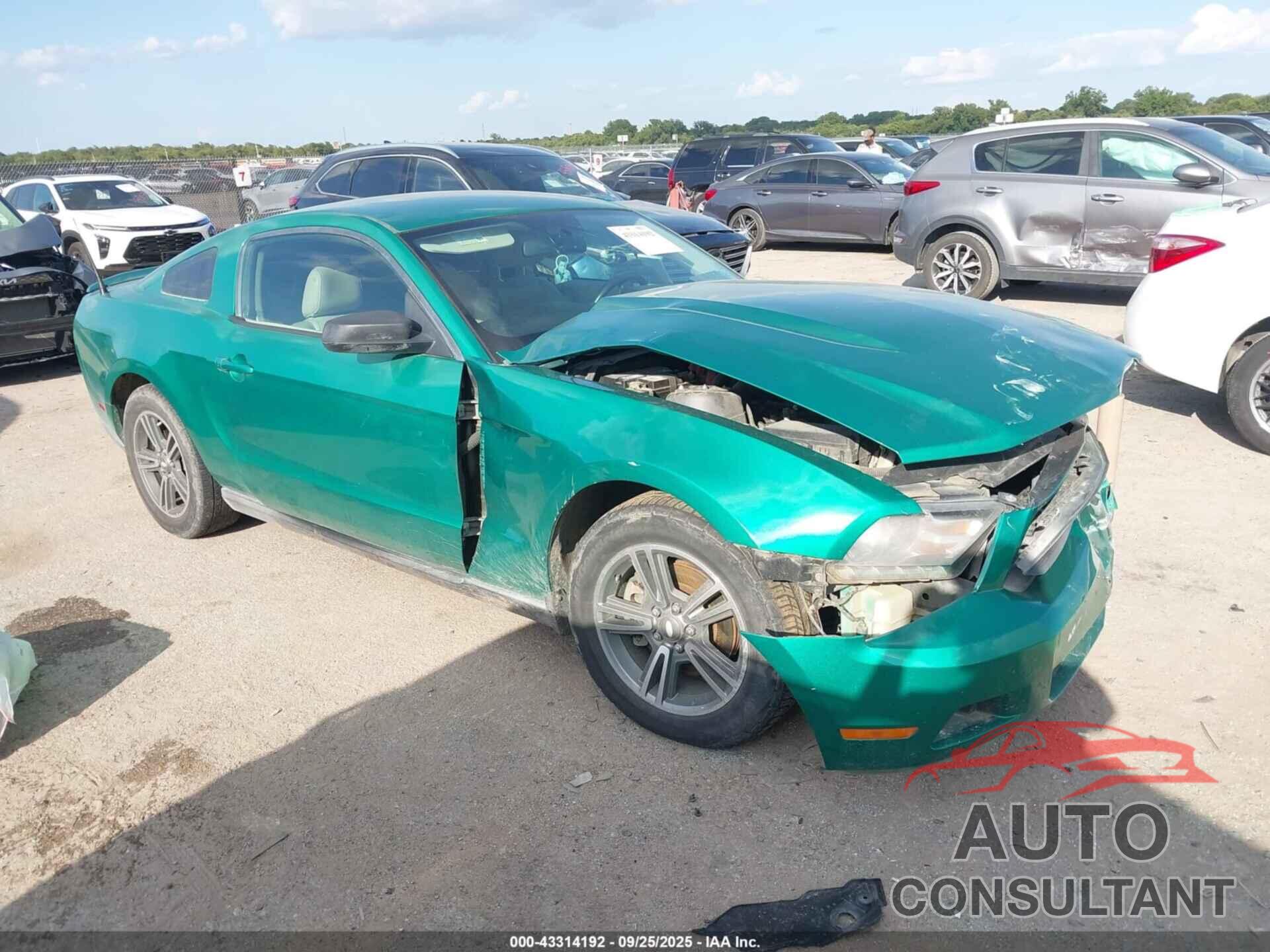 FORD MUSTANG 2011 - 1ZVBP8AM8B5112665