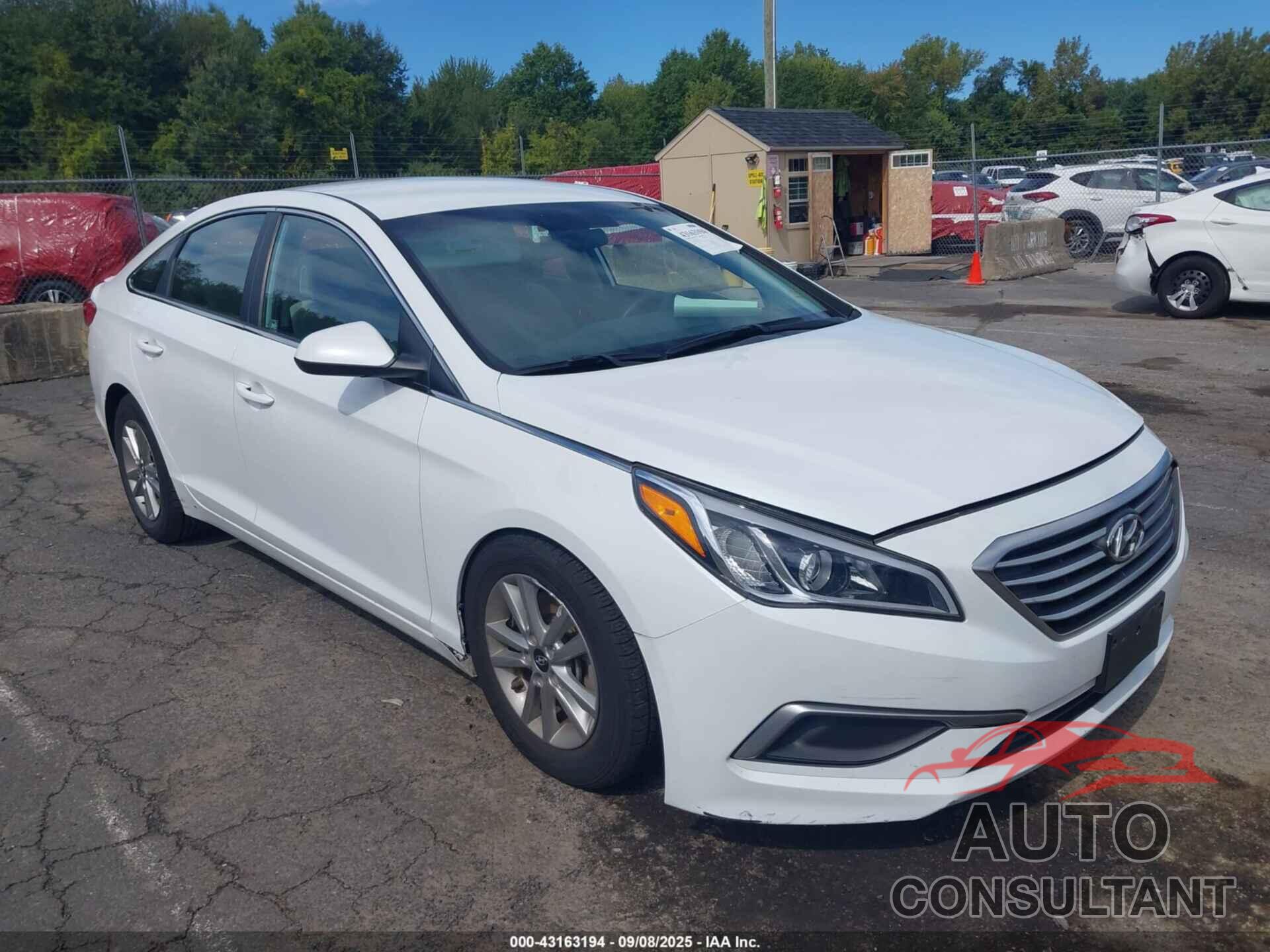HYUNDAI SONATA 2017 - 5NPE24AF2HH589383
