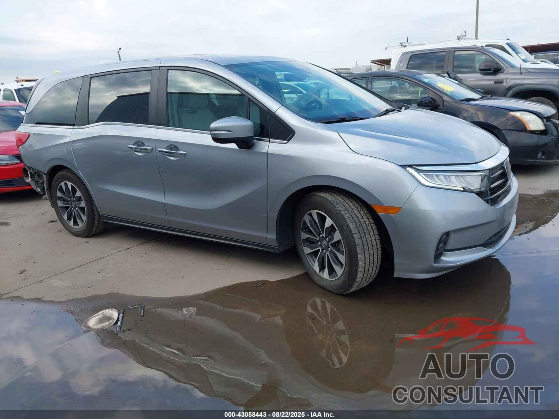 HONDA ODYSSEY 2024 - 5FNRL6H61RB044727
