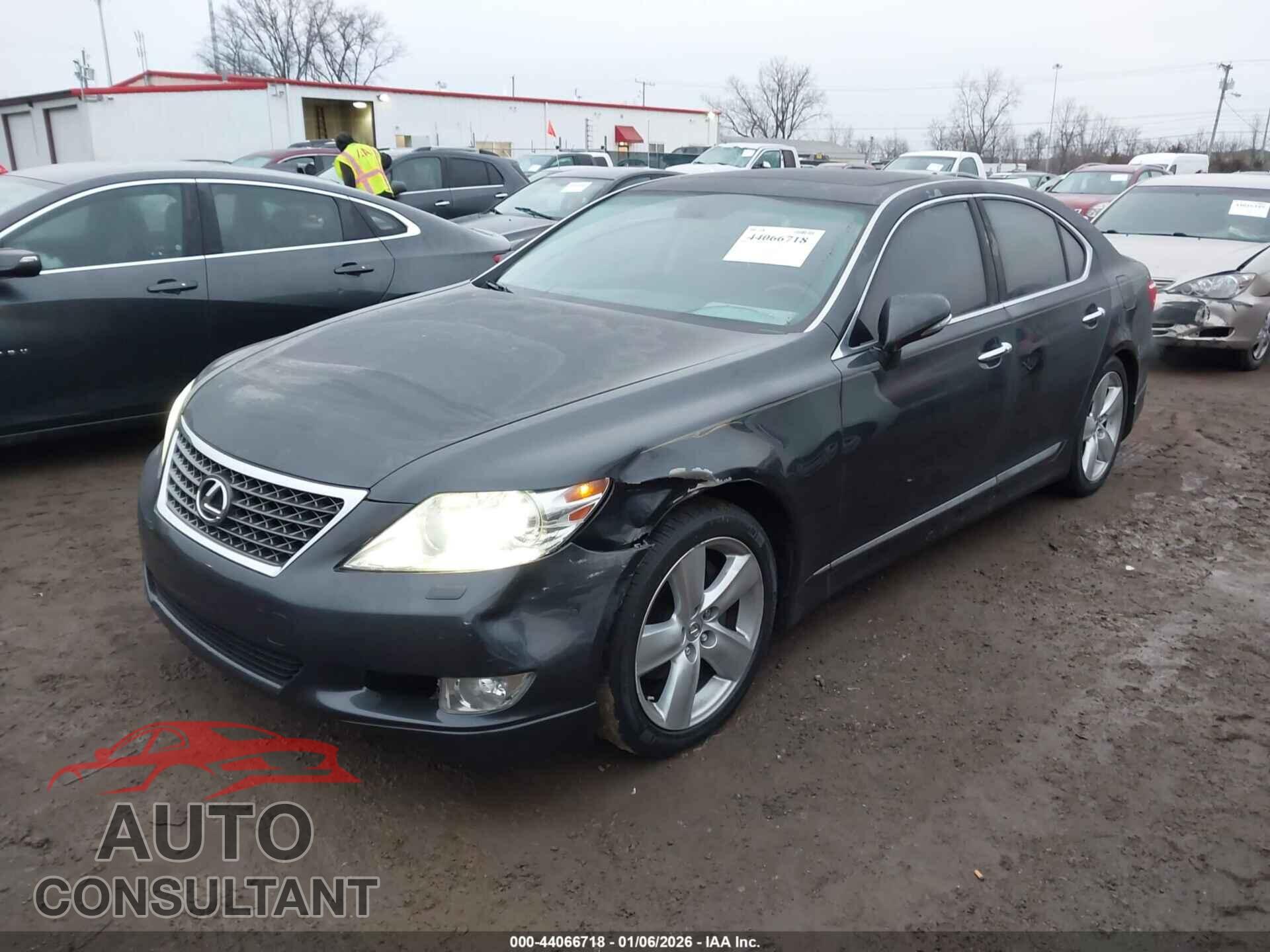 LEXUS LS 460 2011 - JTHBL5EF7B5107528