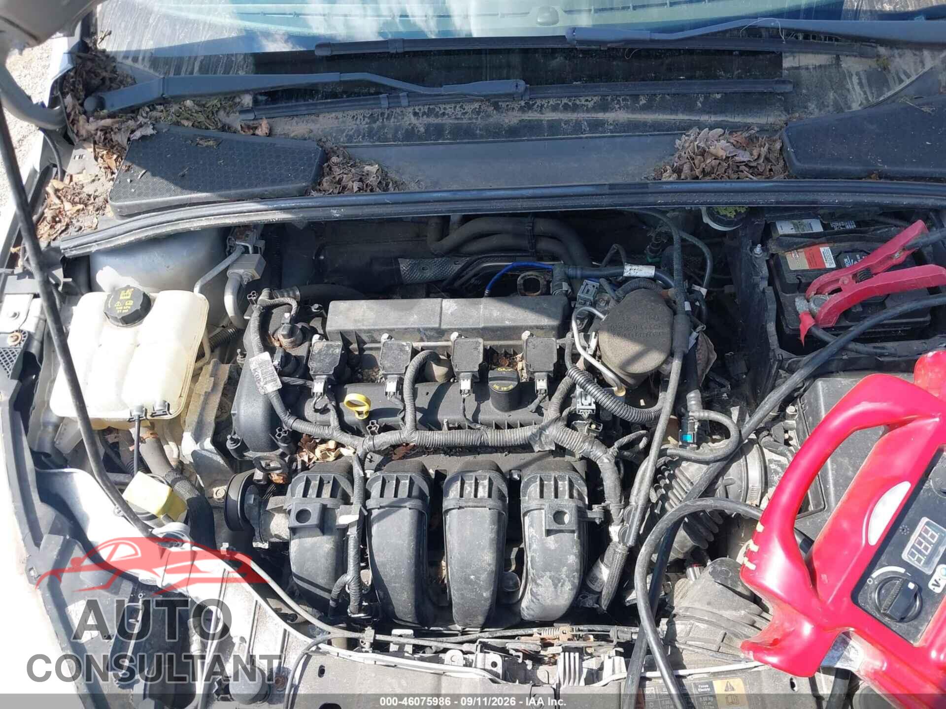 FORD FOCUS 2016 - 1FADP3E24GL257248