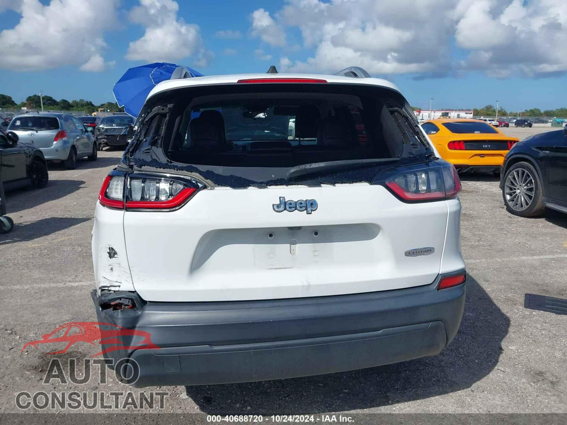 JEEP CHEROKEE 2019 - 1C4PJLLB3KD202031