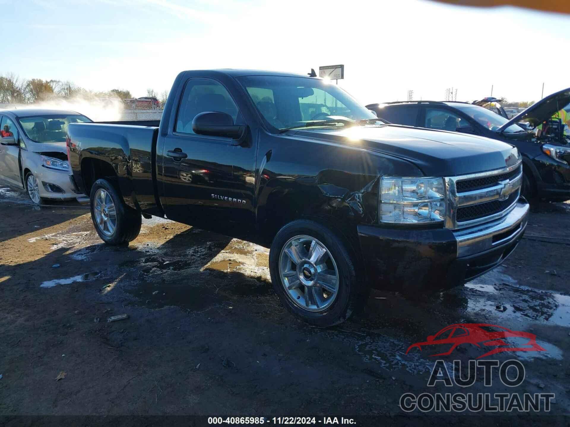 CHEVROLET SILVERADO 1500 2009 - 1GCEK24089Z112740
