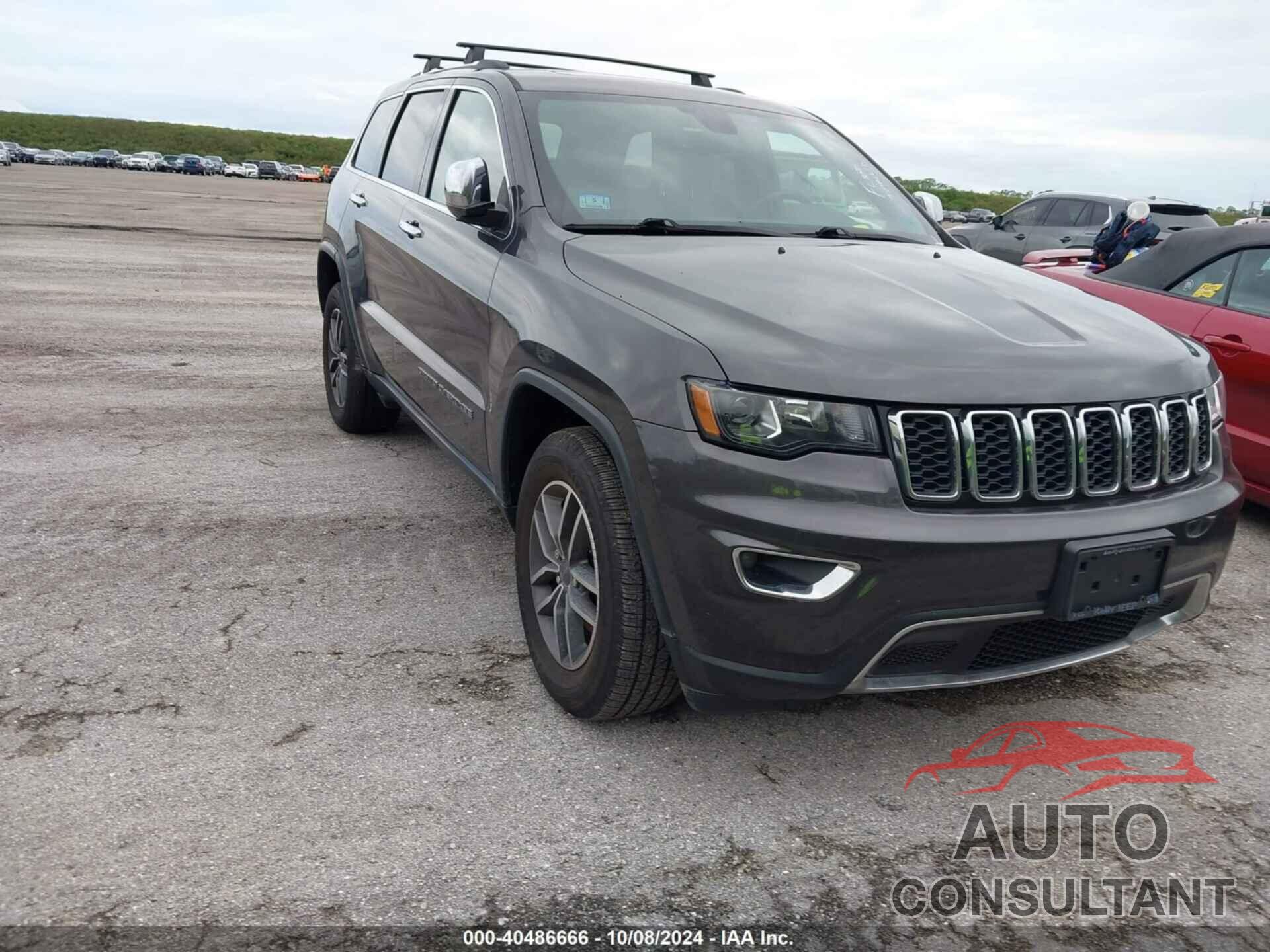 JEEP GRAND CHEROKEE 2019 - 1C4RJFBGXKC761346