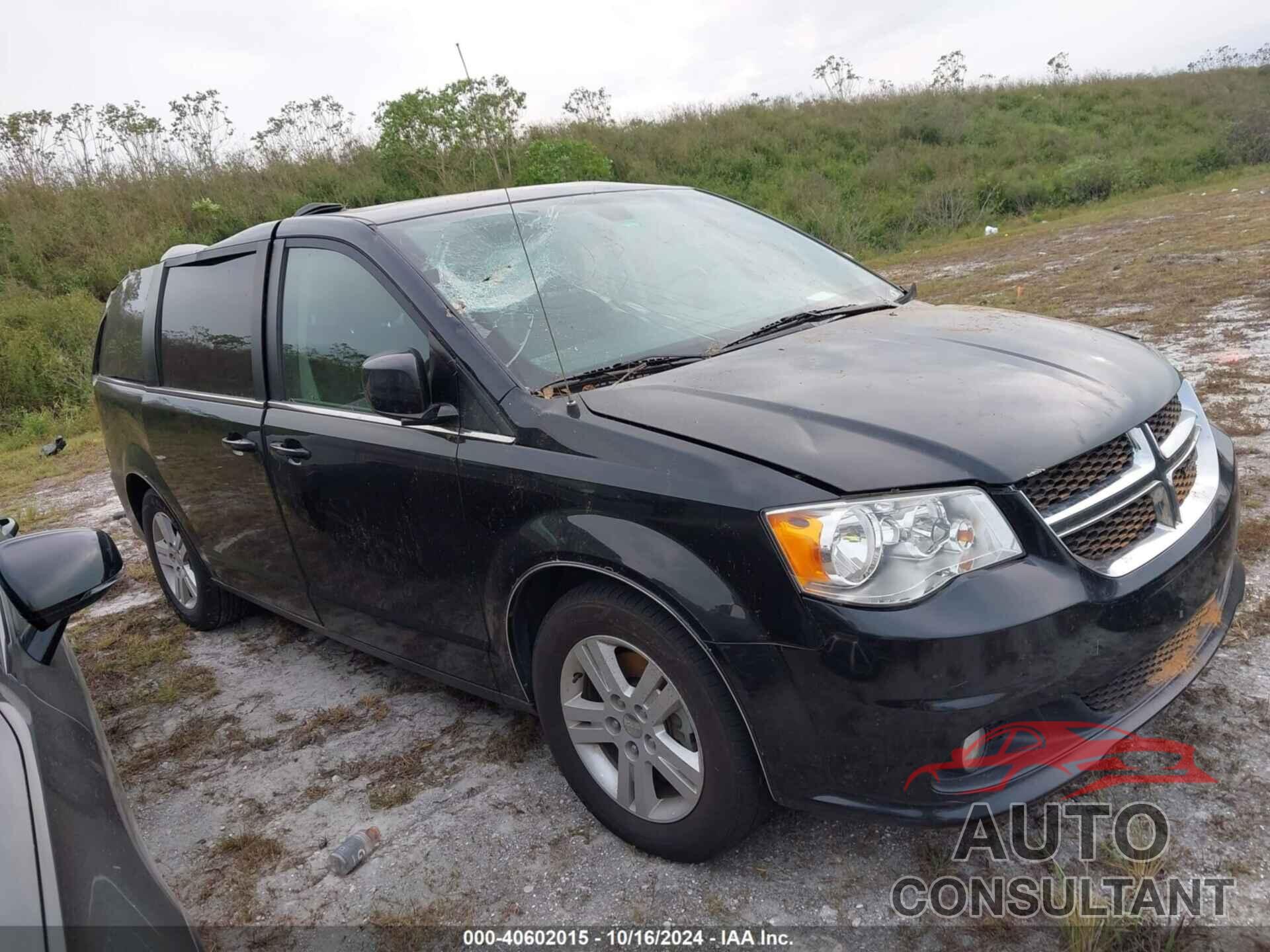 DODGE GRAND CARAVAN 2019 - 2C4RDGDG9KR571877