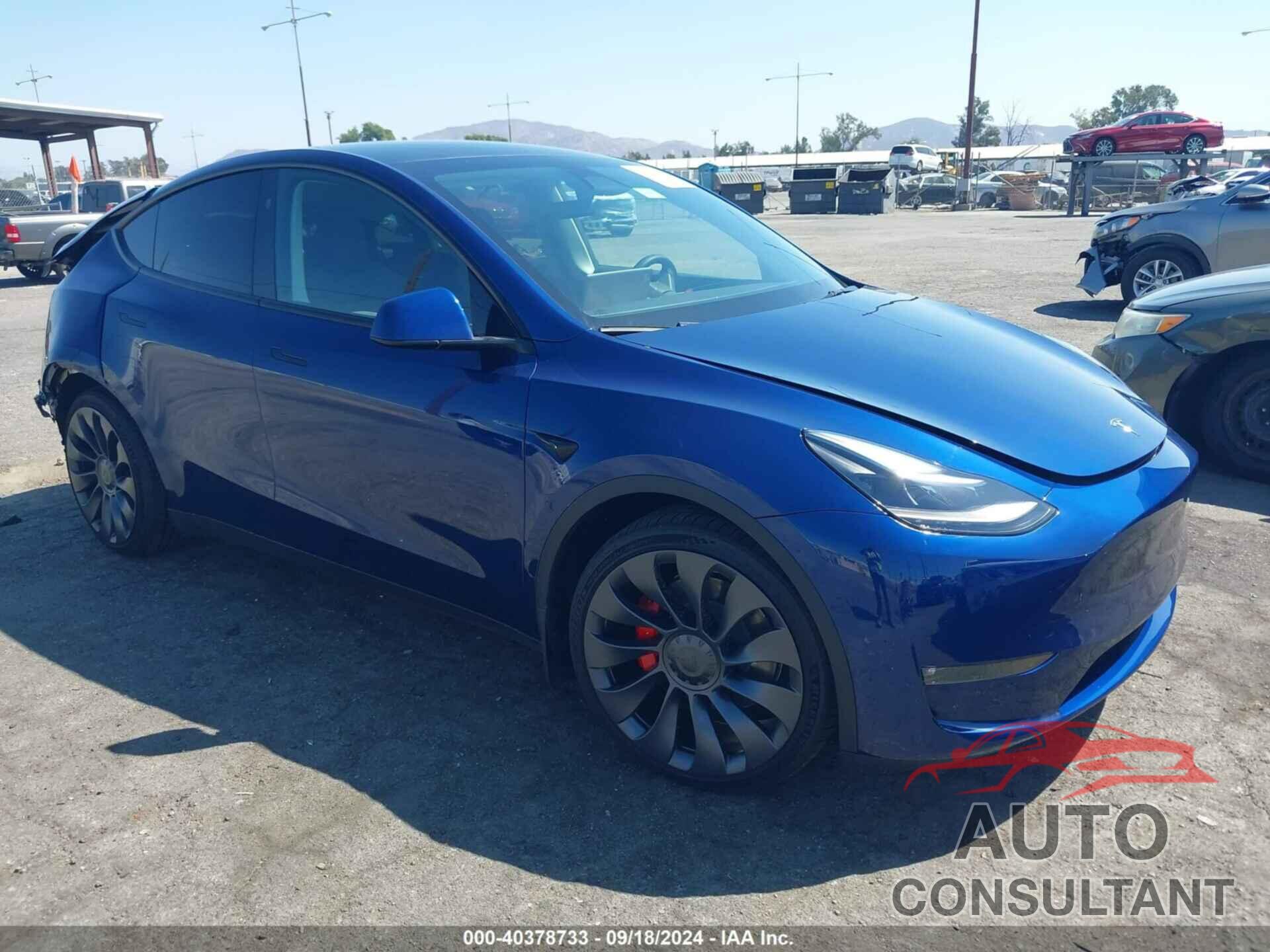 TESLA MODEL Y 2024 - 7SAYGDEF3RF059368