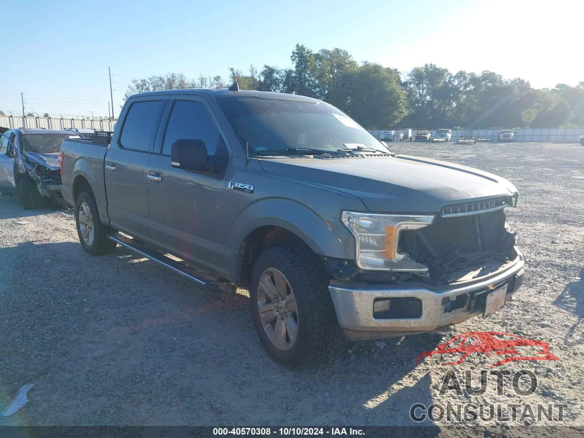 FORD F150 2019 - 1FTEW1E44KKD02663