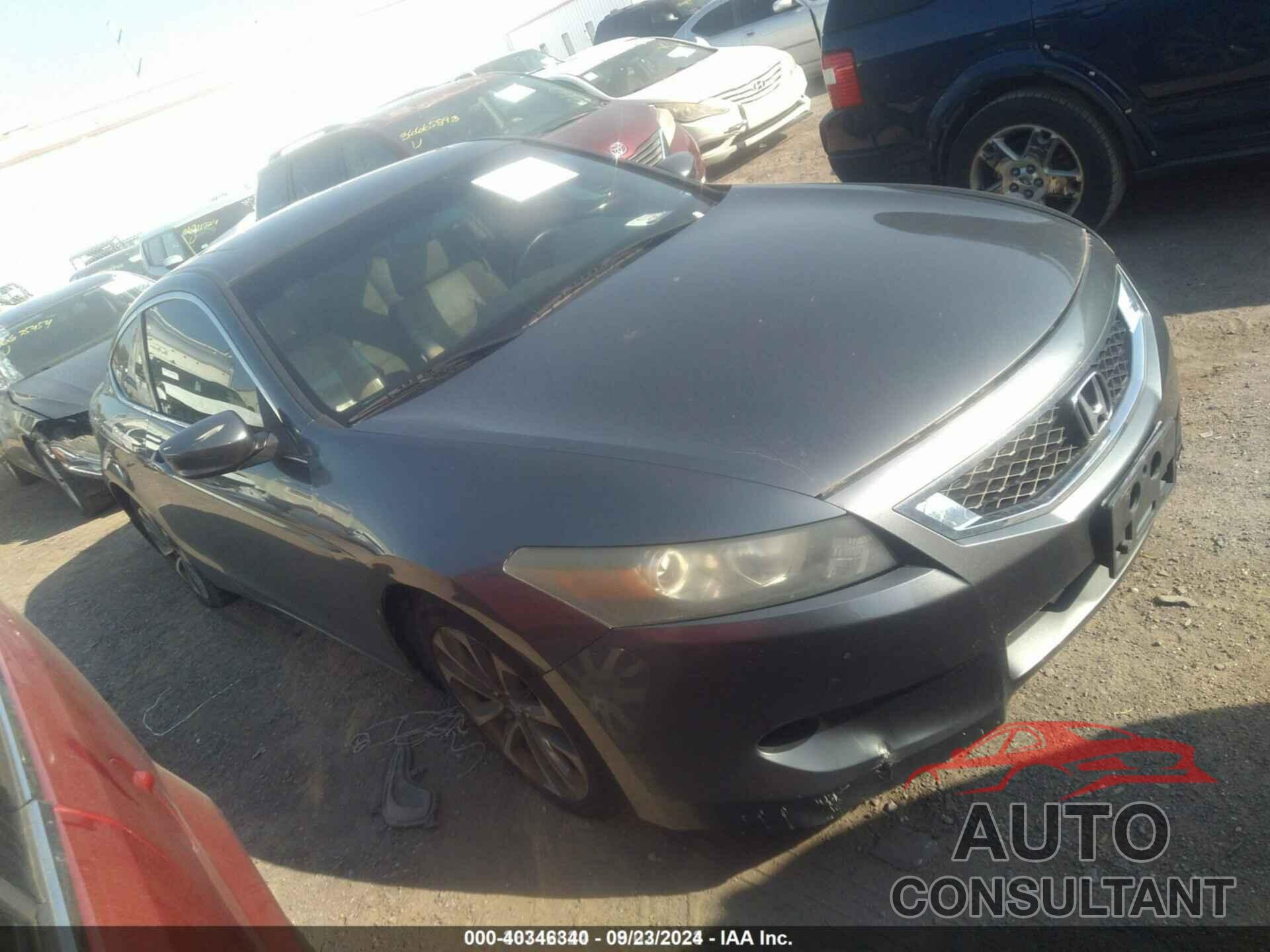 HONDA ACCORD 2009 - 1HGCS12809A012674