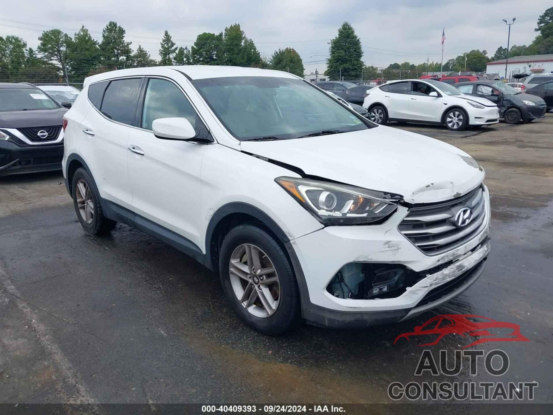 HYUNDAI SANTA FE SPORT 2017 - 5NMZT3LB7HH019542