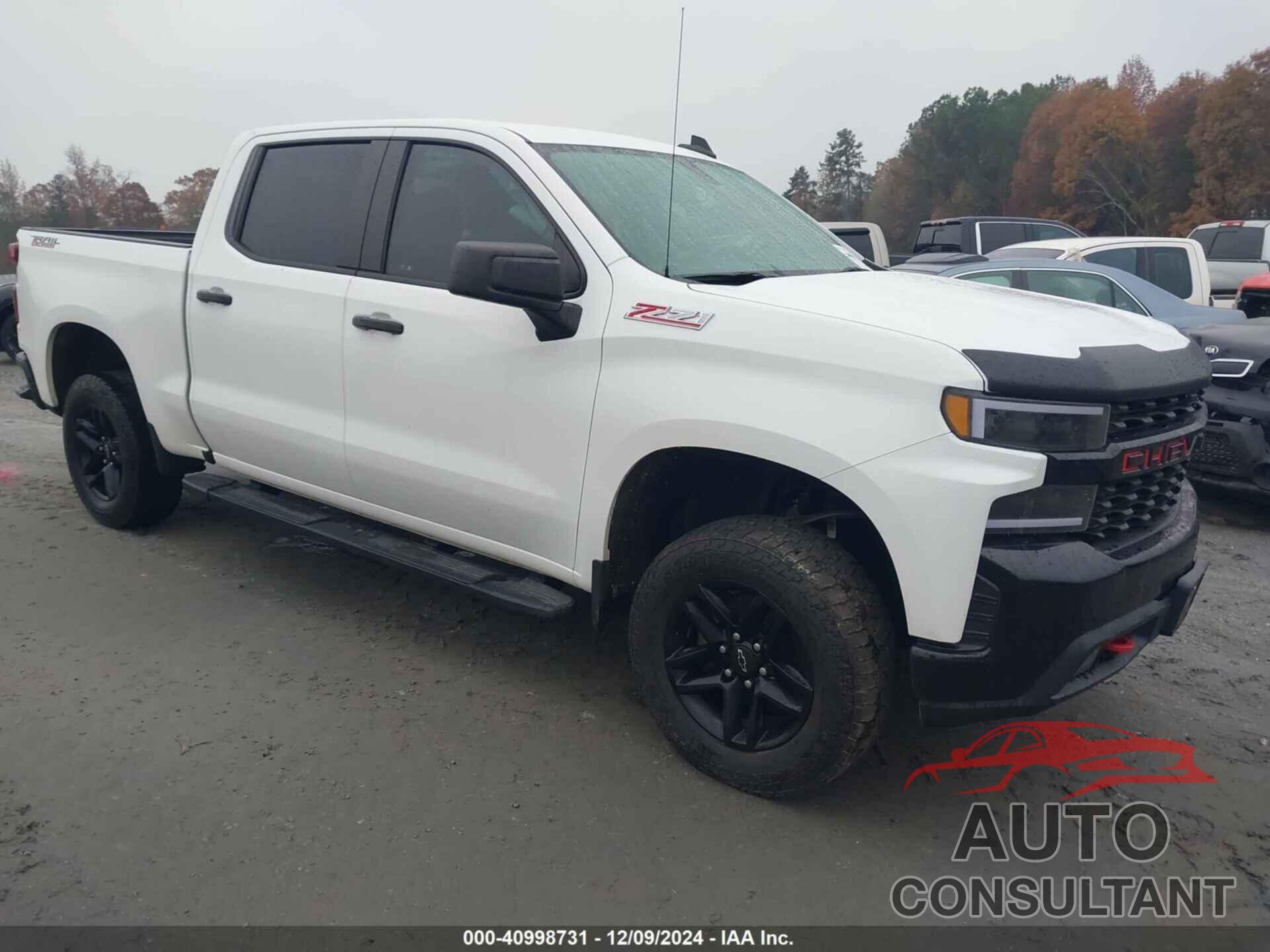 CHEVROLET SILVERADO 1500 2020 - 1GCPYCEF9LZ177555