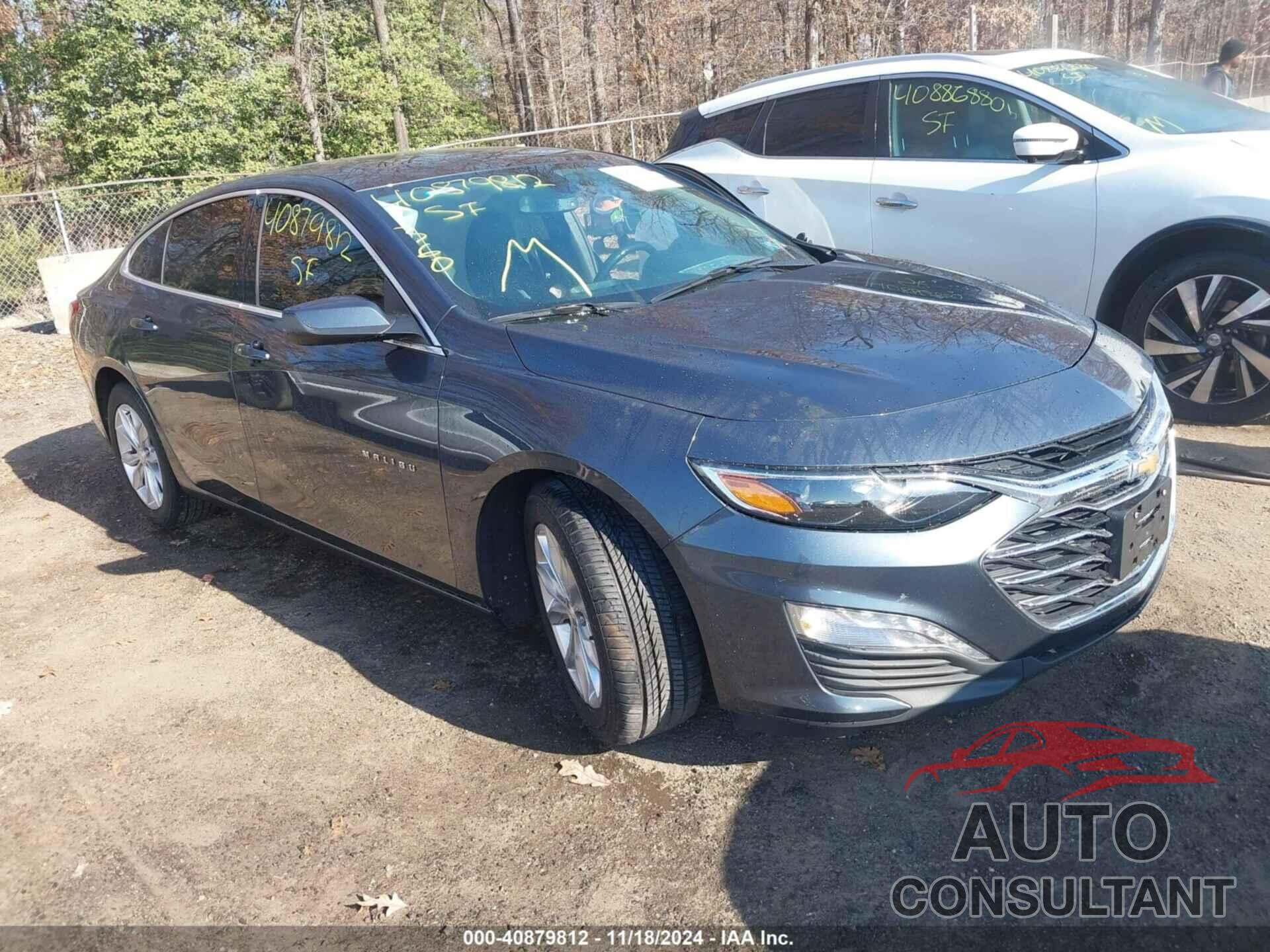 CHEVROLET MALIBU 2019 - 1G1ZD5ST9KF118296