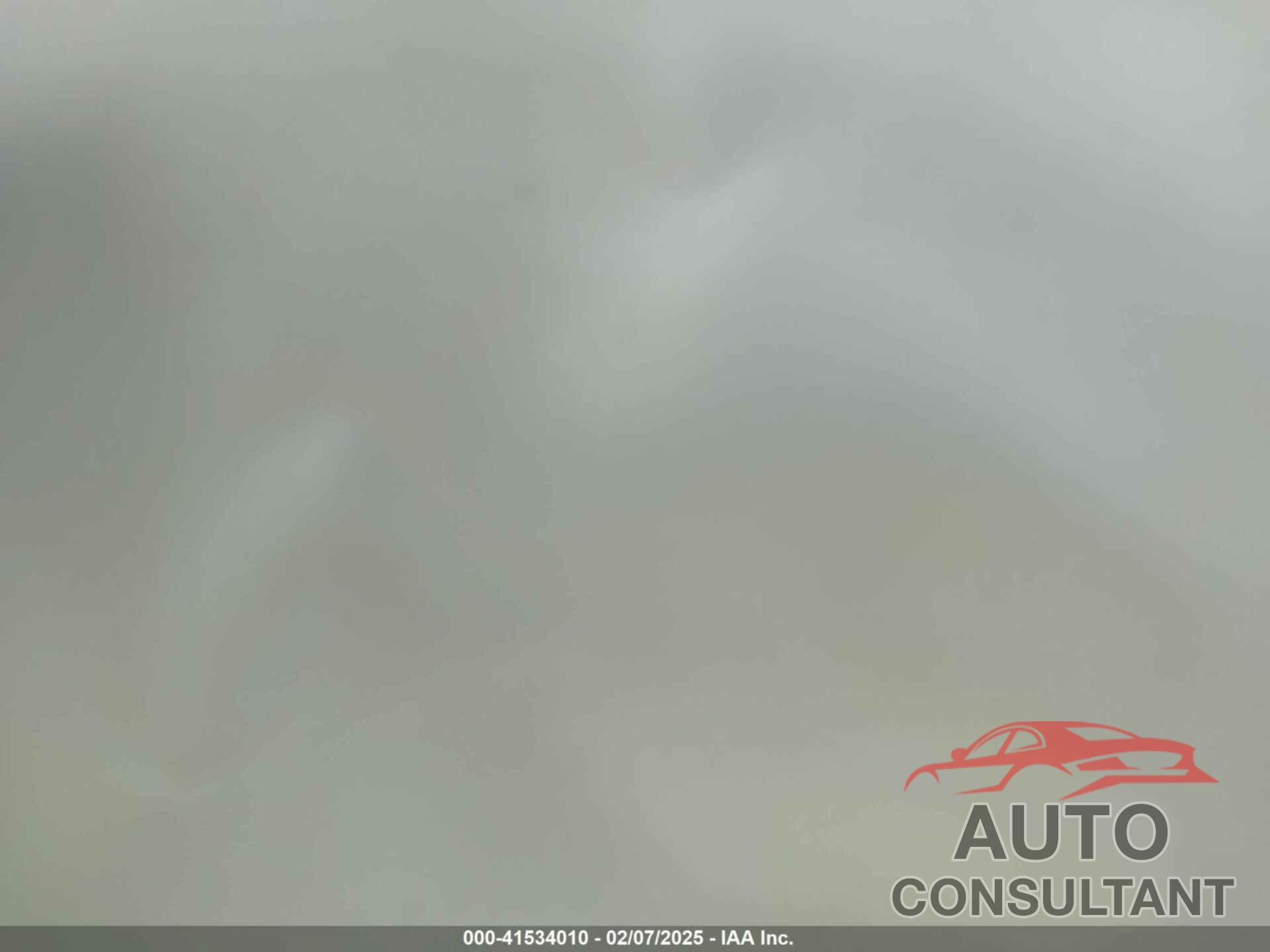 TESLA MODEL Y 2024 - 7SAYGDEE2RA311261