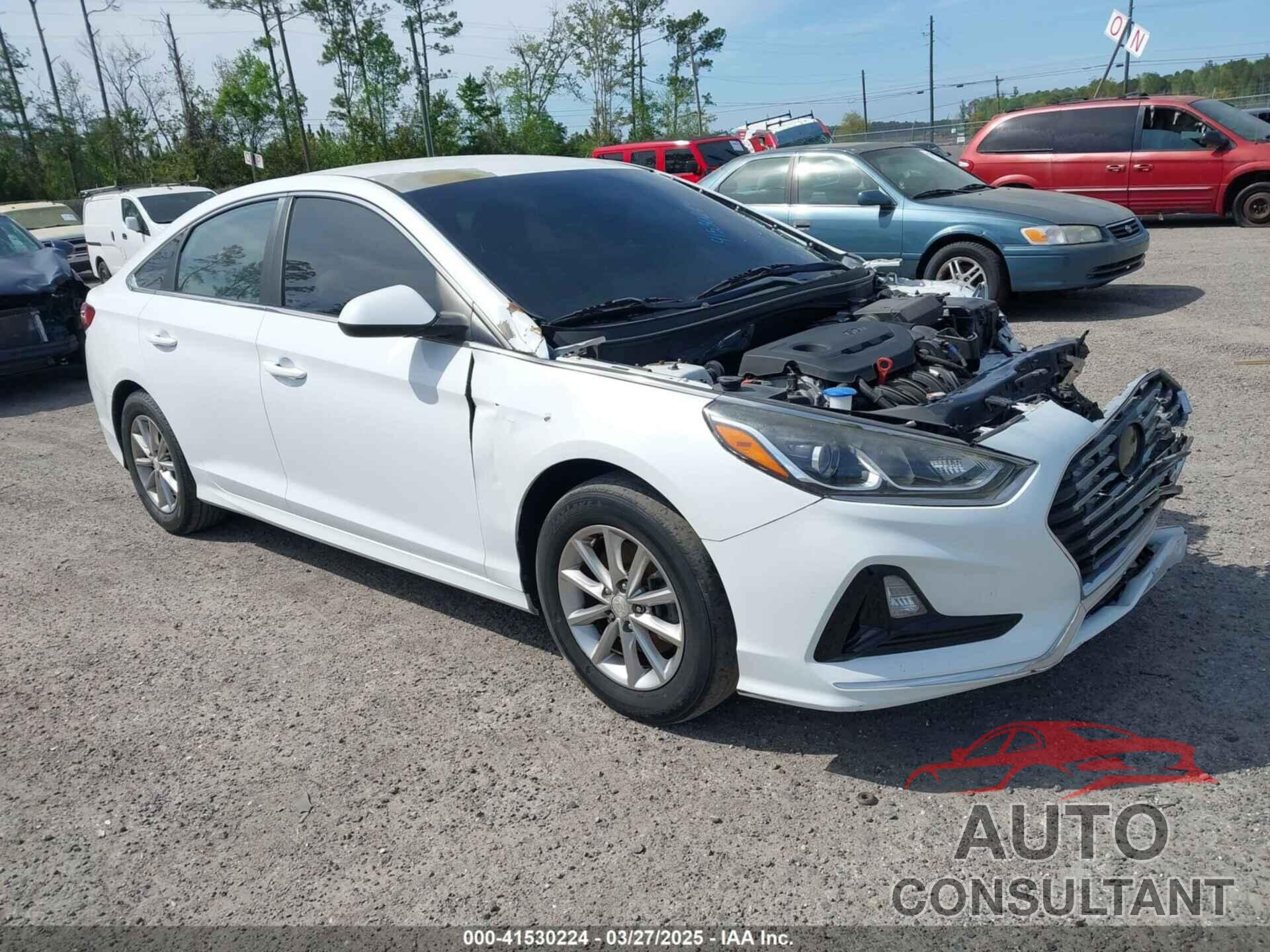 HYUNDAI SONATA 2019 - 5NPE24AF8KH736197