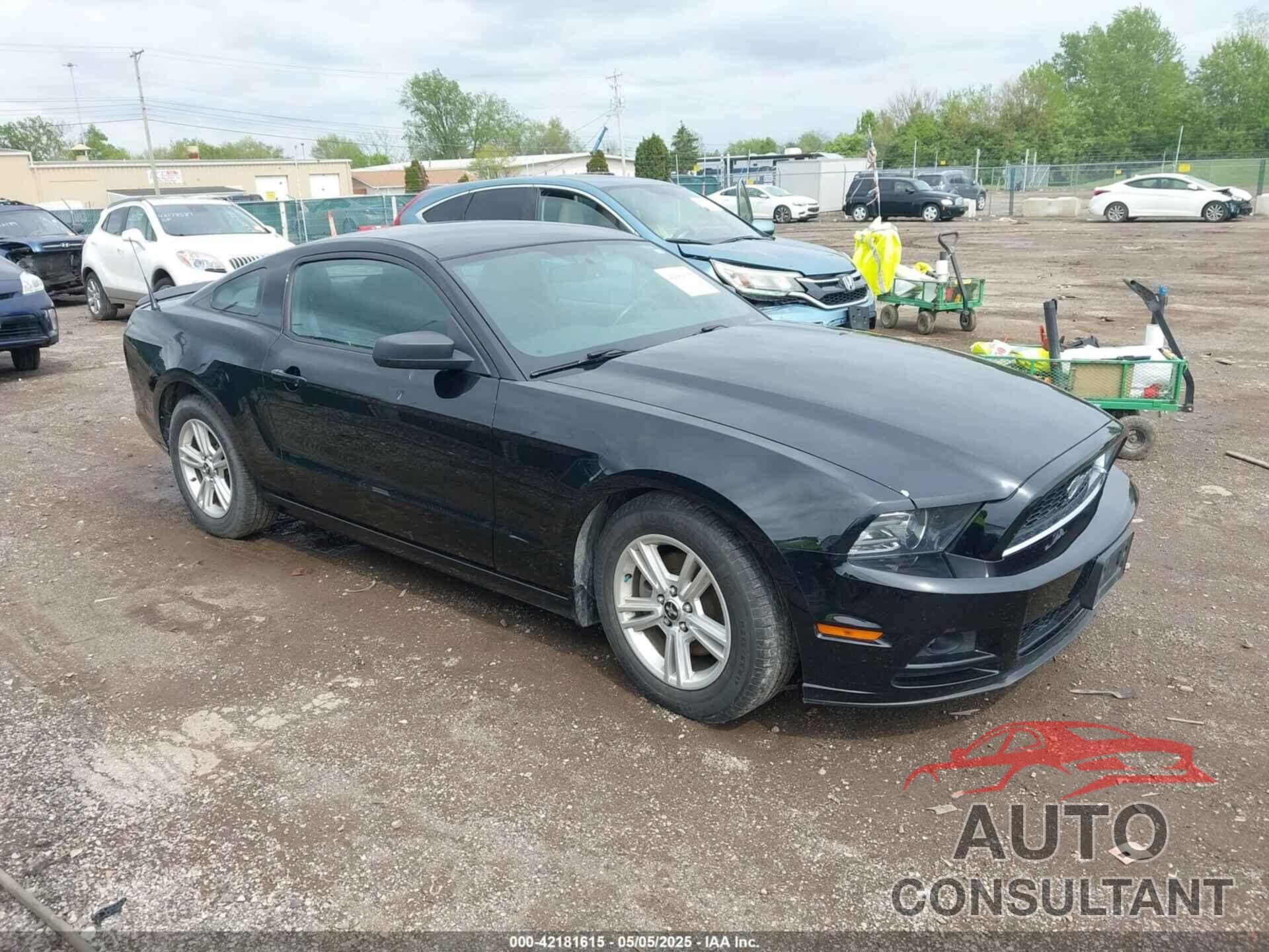 FORD MUSTANG 2014 - 1ZVBP8AM5E5226188