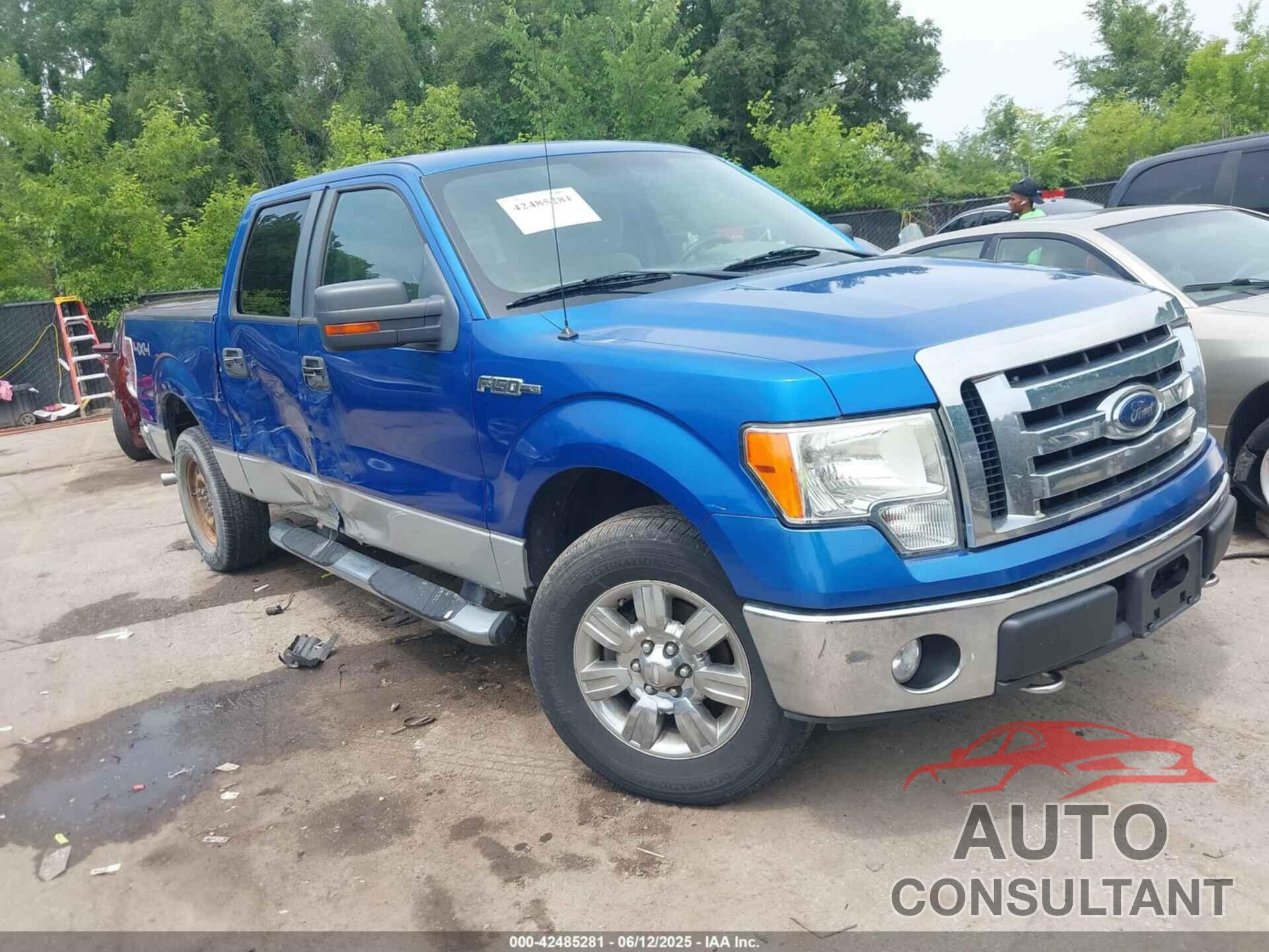 FORD F-150 2009 - 1FTRW14859FA61494