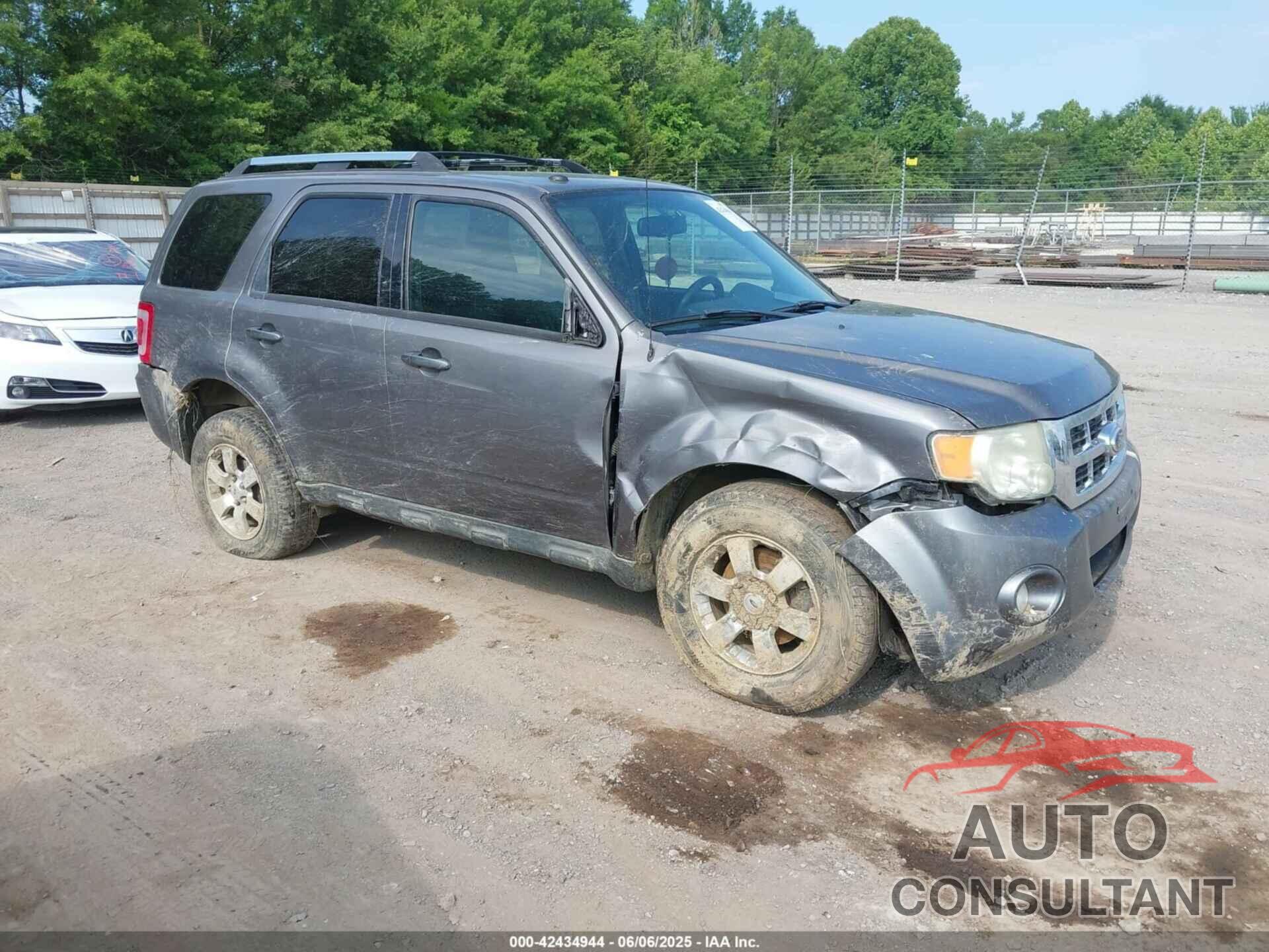 FORD ESCAPE 2011 - 1FMCU9EG1BKB48494