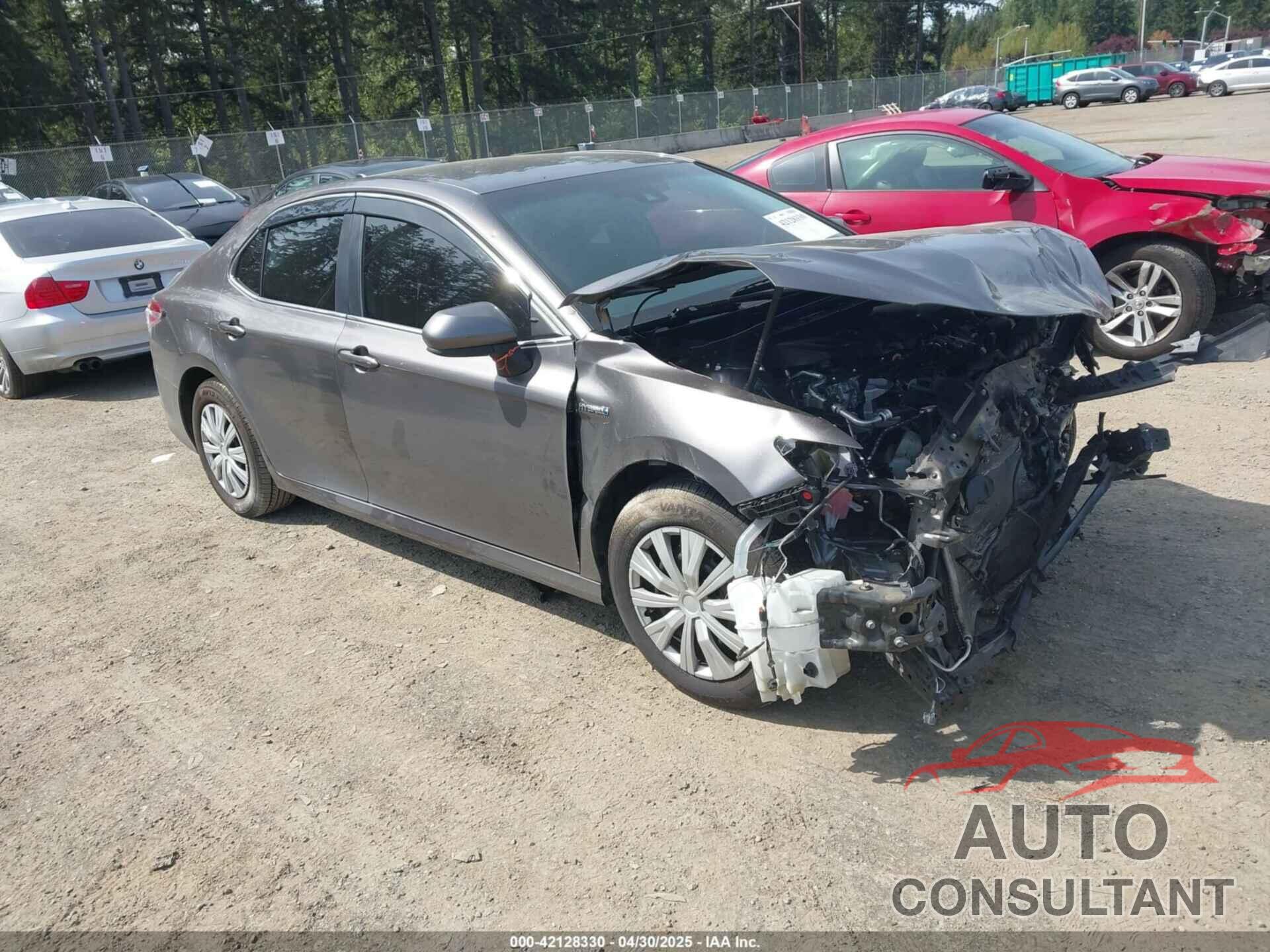 TOYOTA CAMRY HYBRID 2019 - 4T1B31HK4KU008573