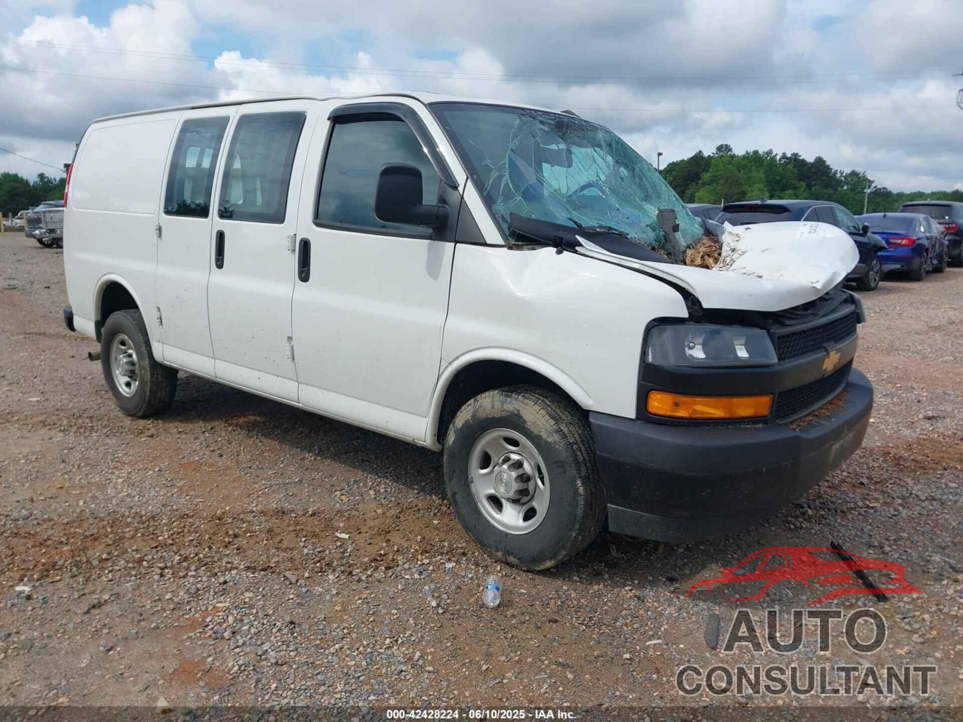 CHEVROLET EXPRESS 2500 2019 - 1GCWGAFG7K1372805