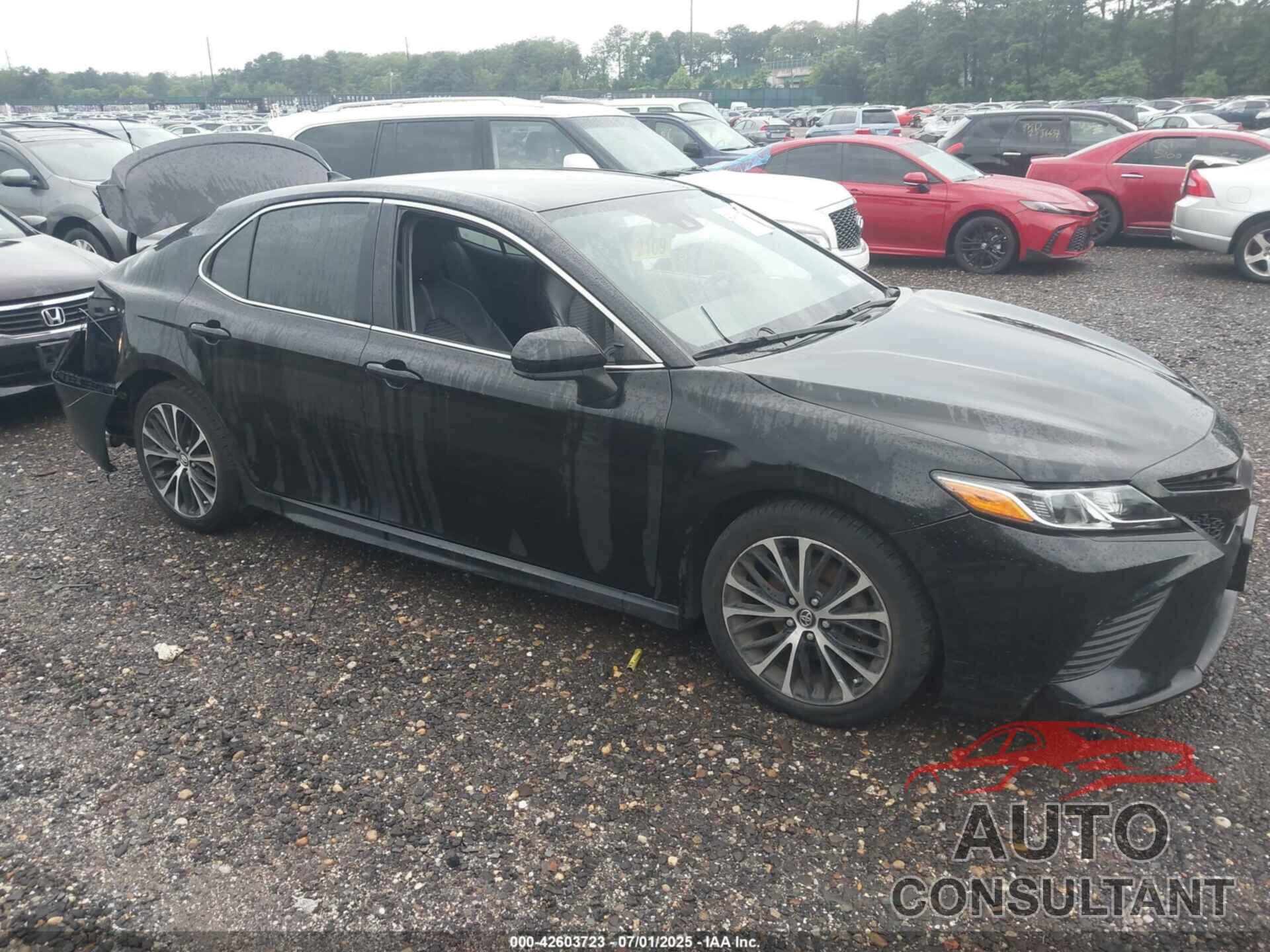 TOYOTA CAMRY 2019 - 4T1B11HK8KU731235