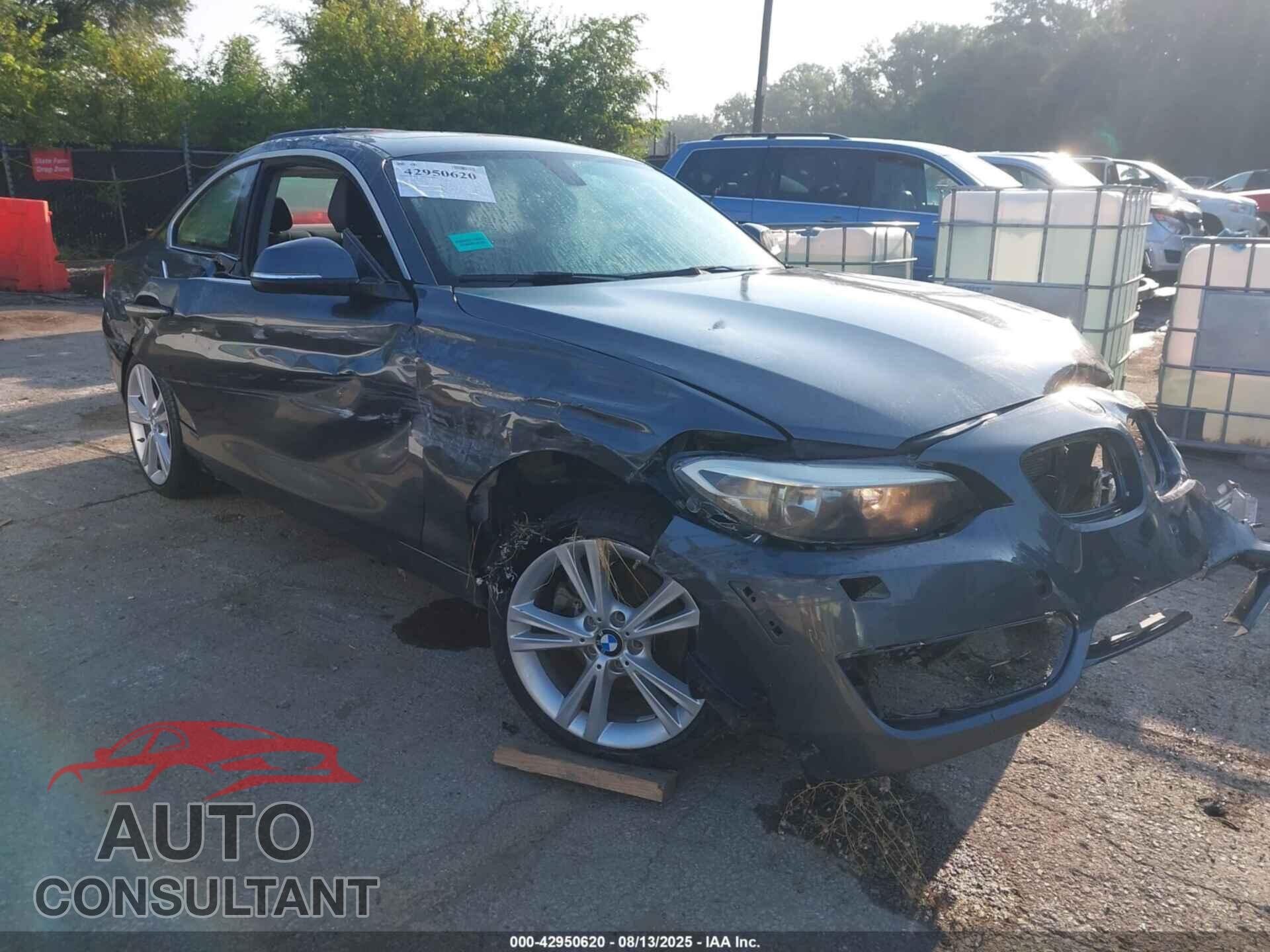 BMW 228I 2014 - WBA1F5C50EV256380