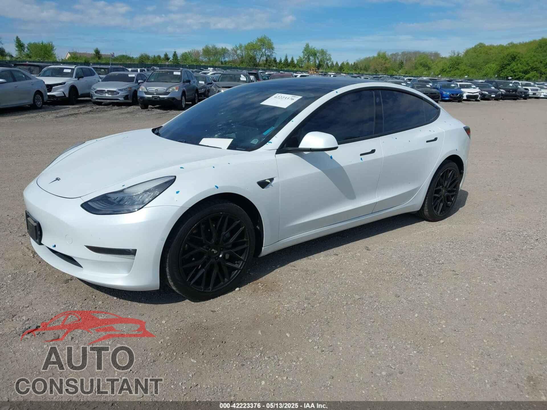 TESLA MODEL 3 2019 - 5YJ3E1EB4KF517787