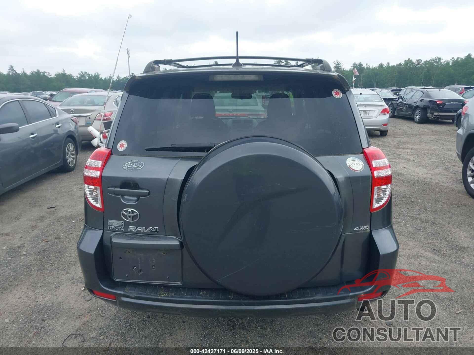 TOYOTA RAV4 2009 - JTMBF32V695006936