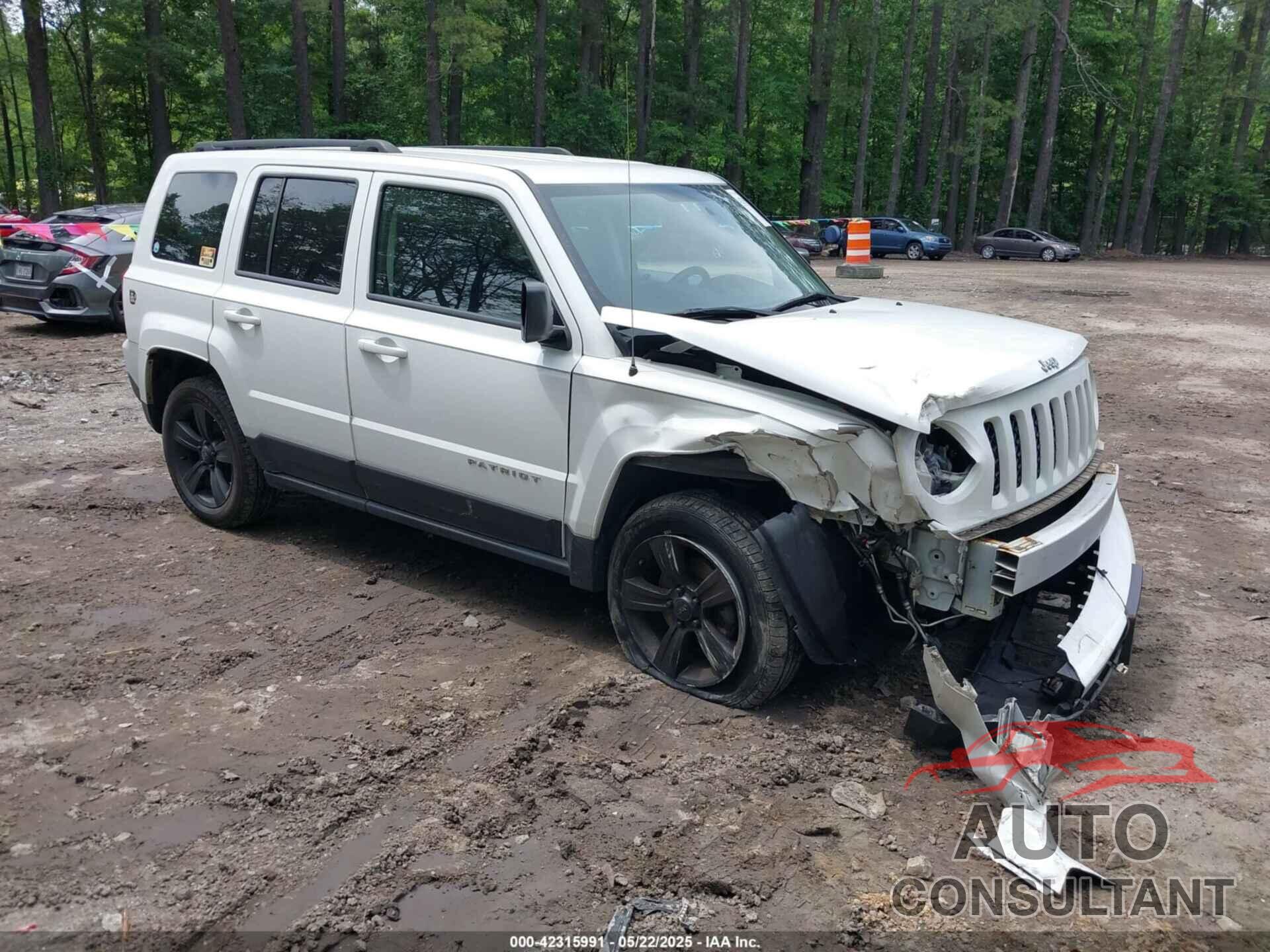 JEEP PATRIOT 2013 - 1C4NJRFBXDD248058