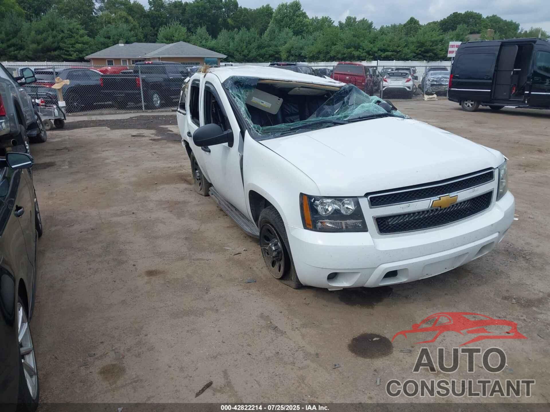 CHEVROLET TAHOE 2009 - 1GNEC03059R195182
