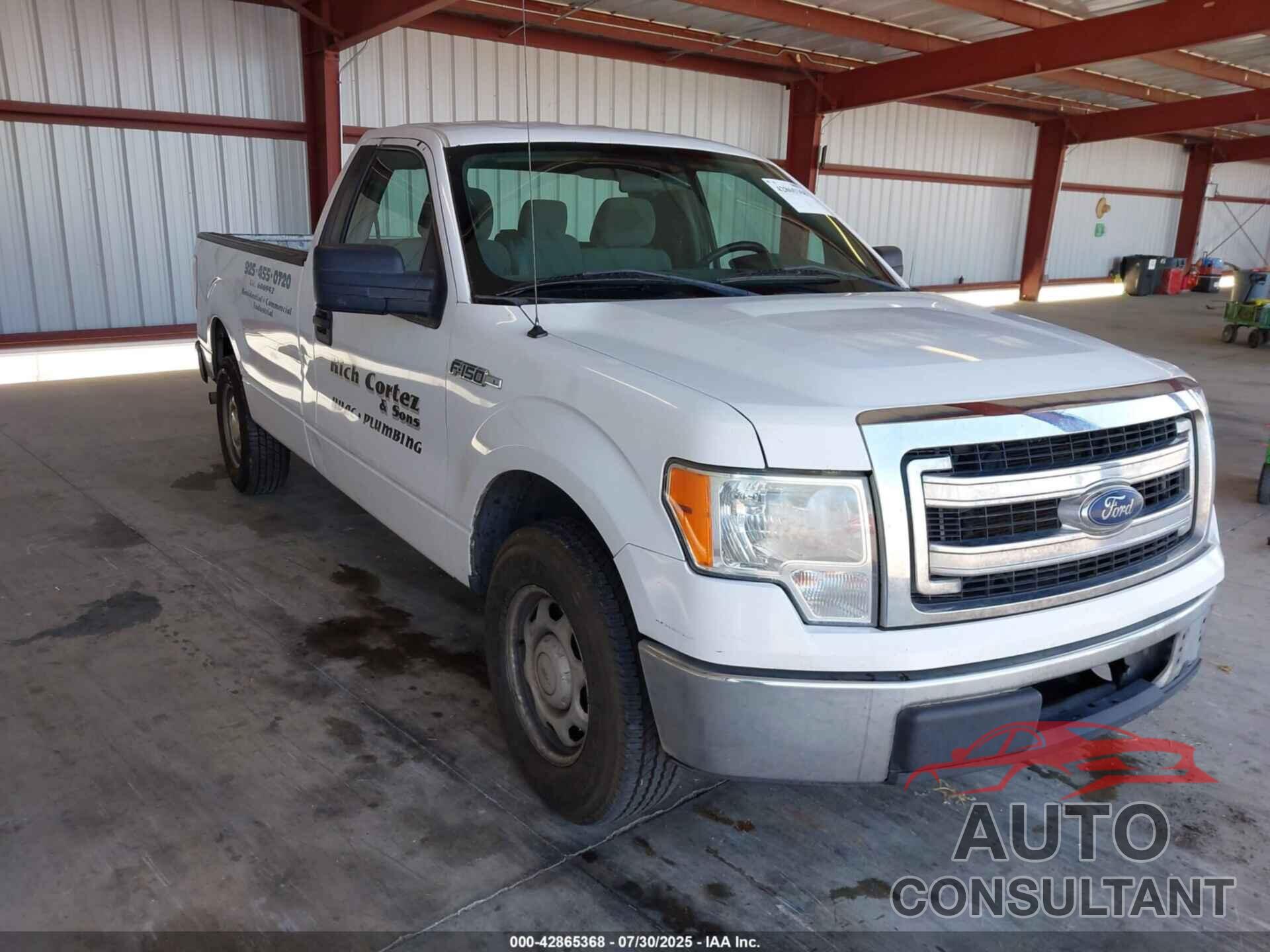 FORD F-150 2013 - 1FTNF1CF2DKE46719