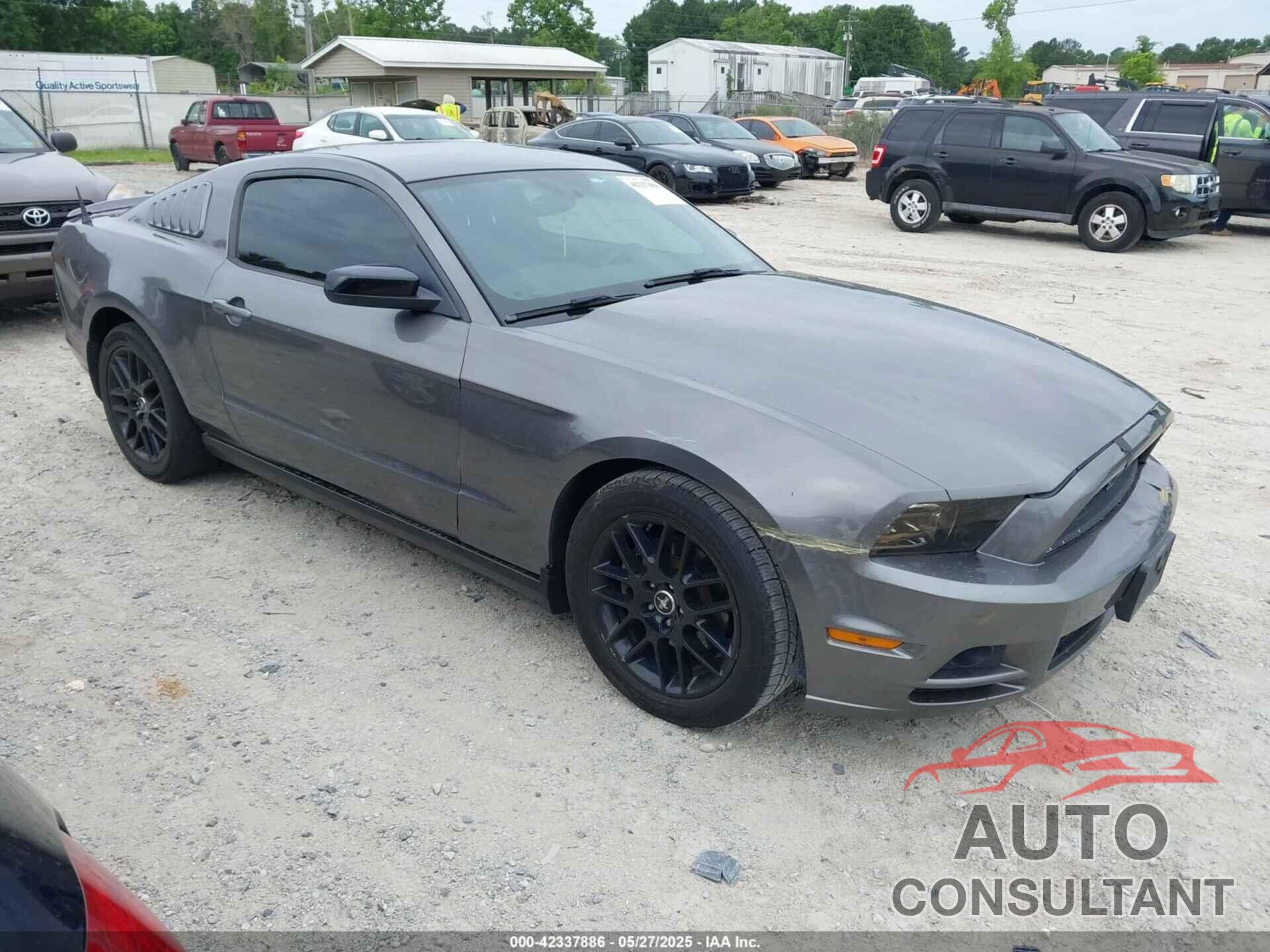 FORD MUSTANG 2014 - 1ZVBP8AM1E5258913