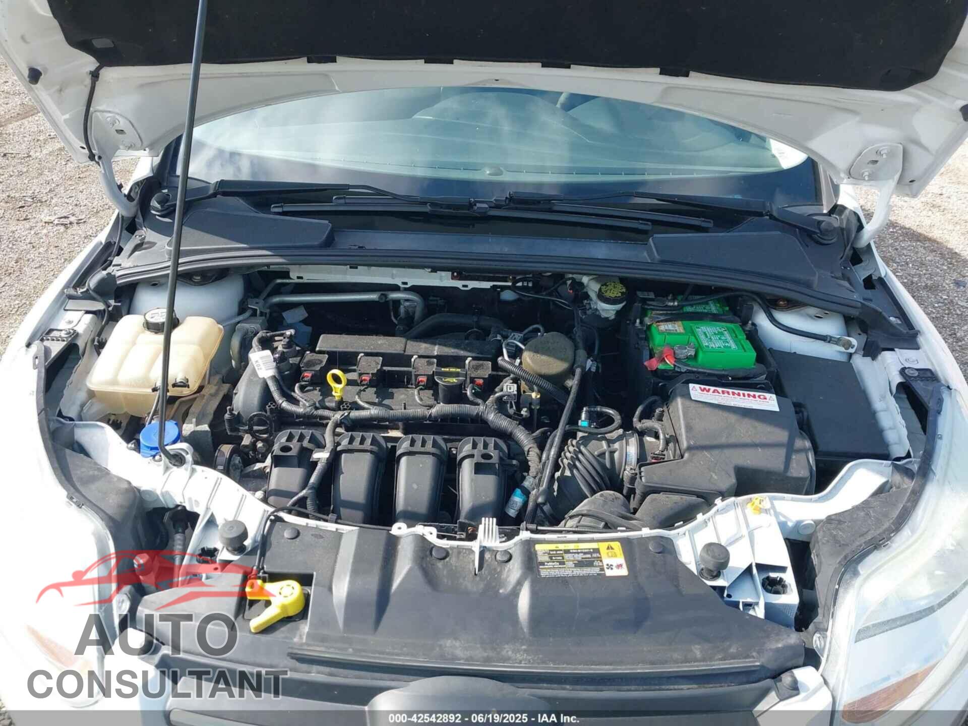 FORD FOCUS 2013 - 1FADP3F23DL208410