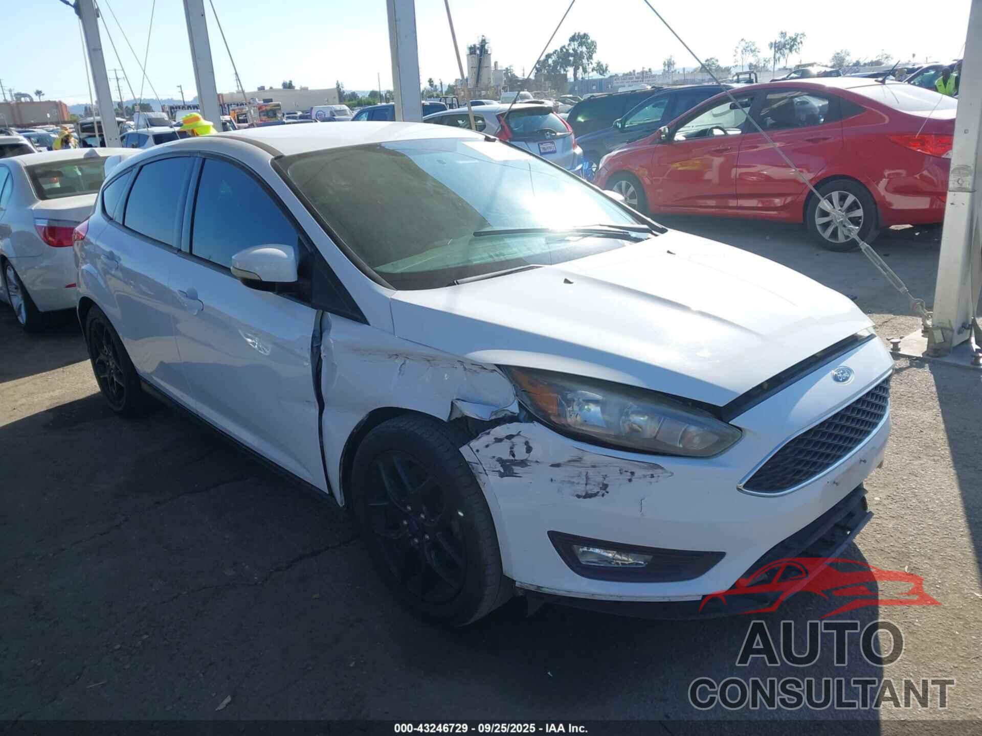 FORD FOCUS 2016 - 1FADP3K23GL319422