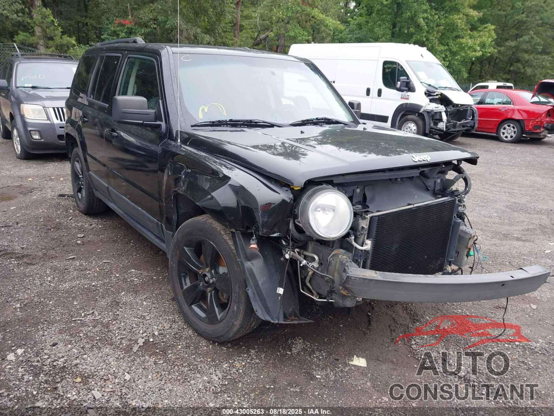 JEEP PATRIOT 2016 - 1C4NJPBB0GD803873