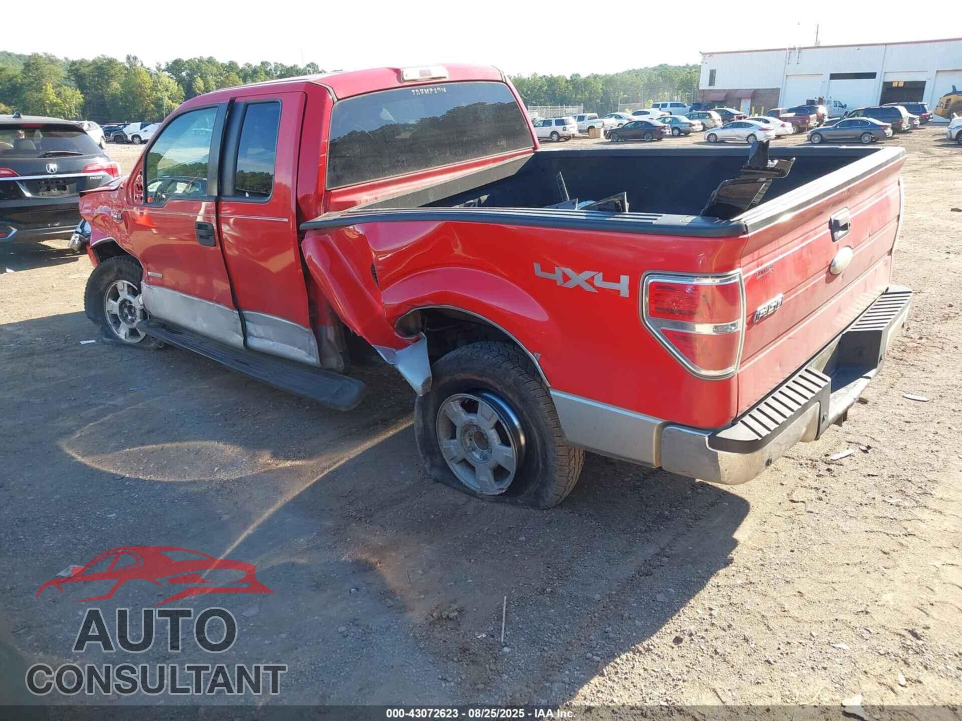 FORD F-150 2011 - 1FTFX1ET1BFD02847