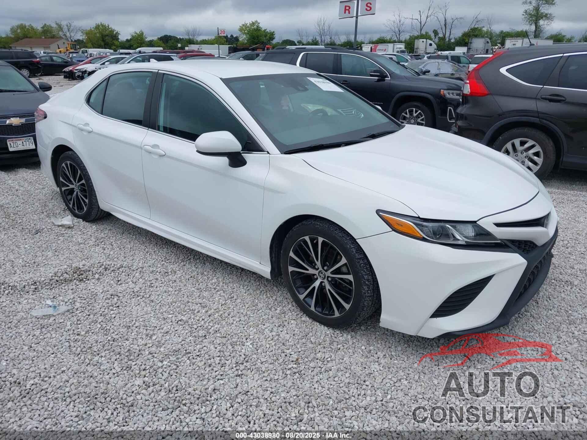 TOYOTA CAMRY 2019 - 4T1B11HKXKU825777