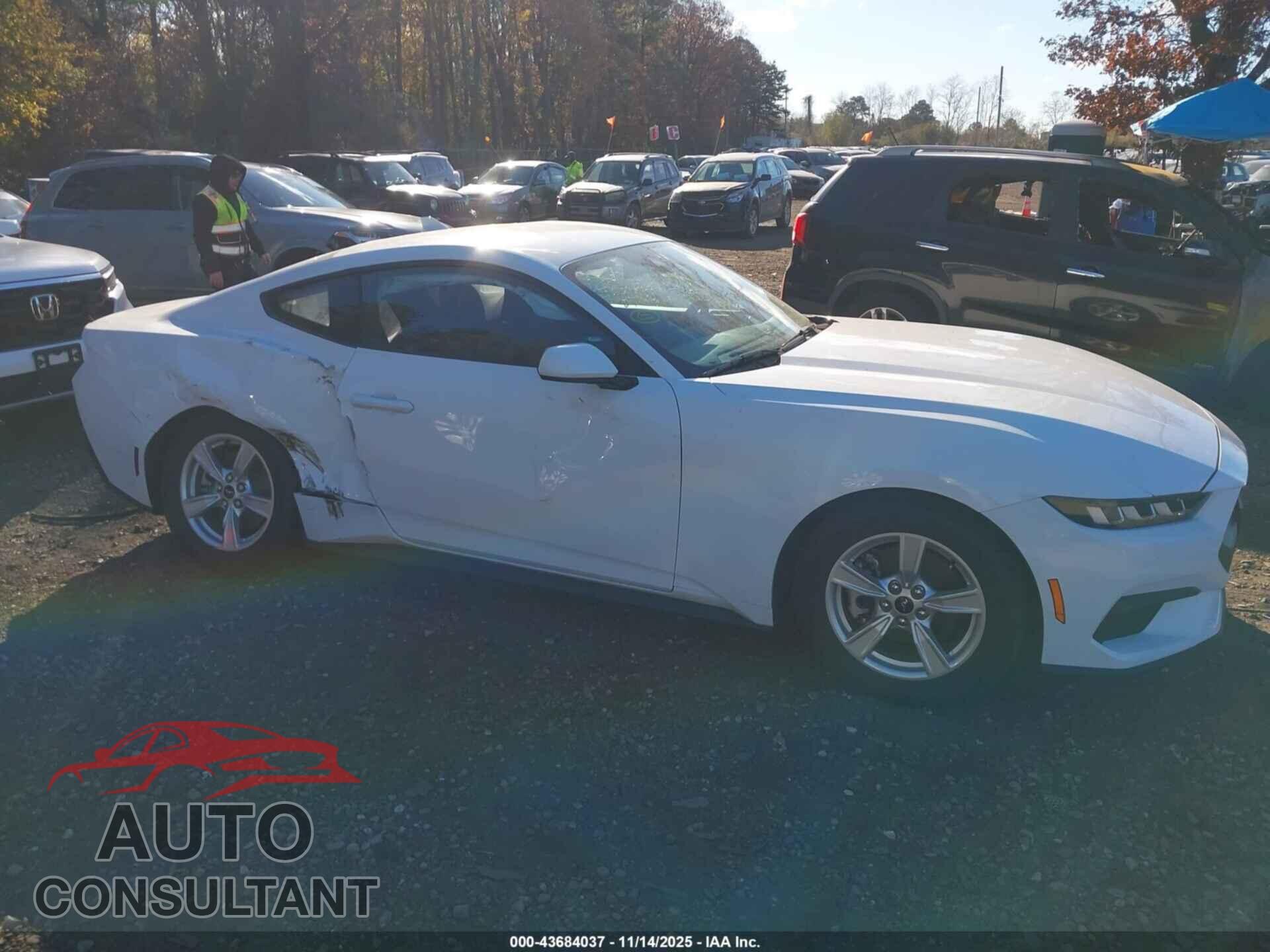 FORD MUSTANG 2024 - 1FA6P8TH4R5121951