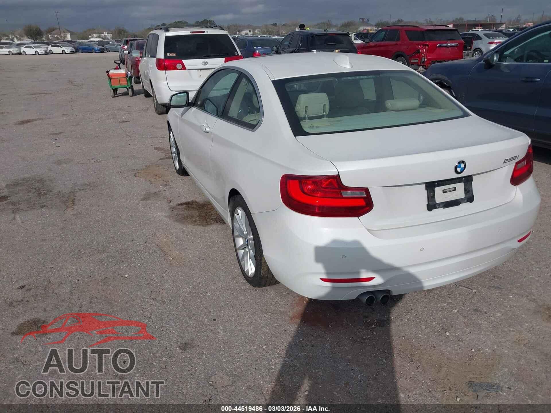 BMW 228I 2014 - WBA1F5C58EV246051