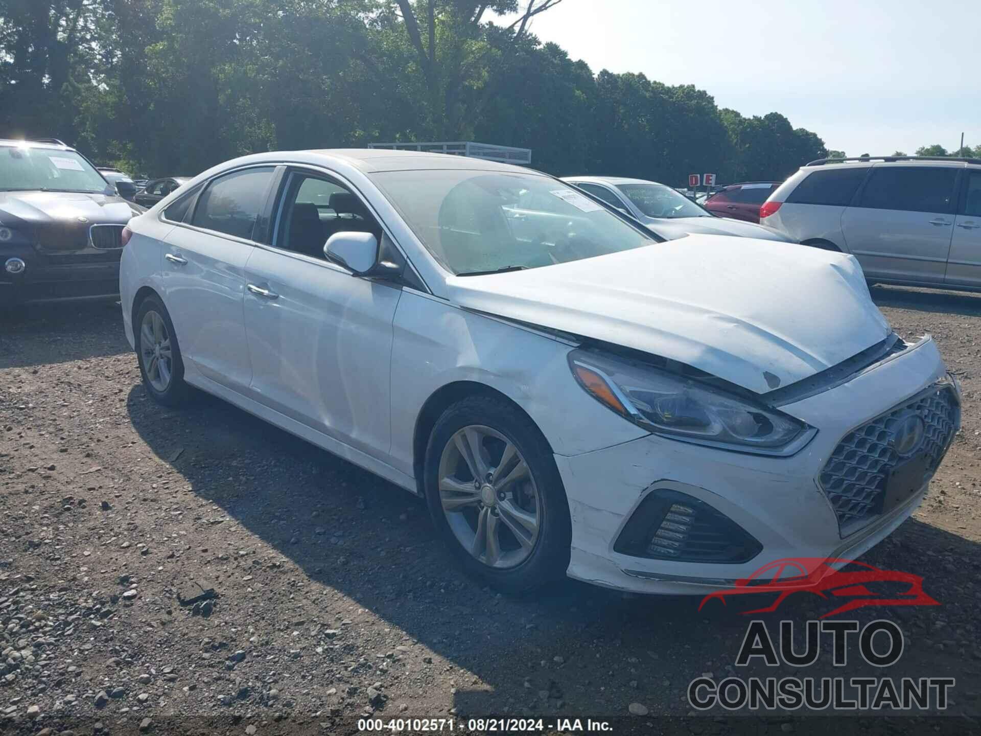 HYUNDAI SONATA 2019 - 5NPE34AF7KH771178